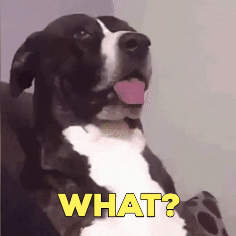 downdog.gif