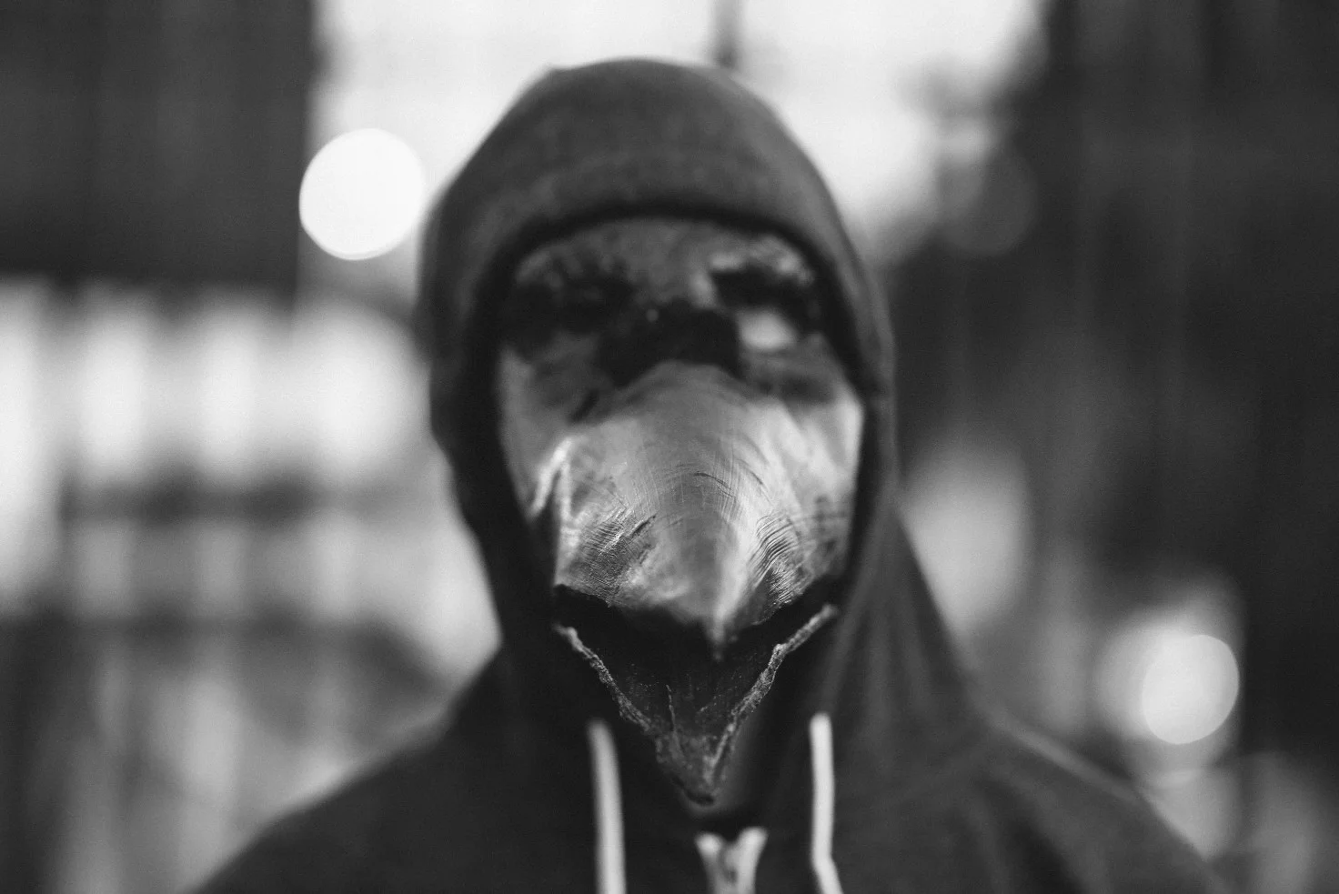 DSC_8304.jpg