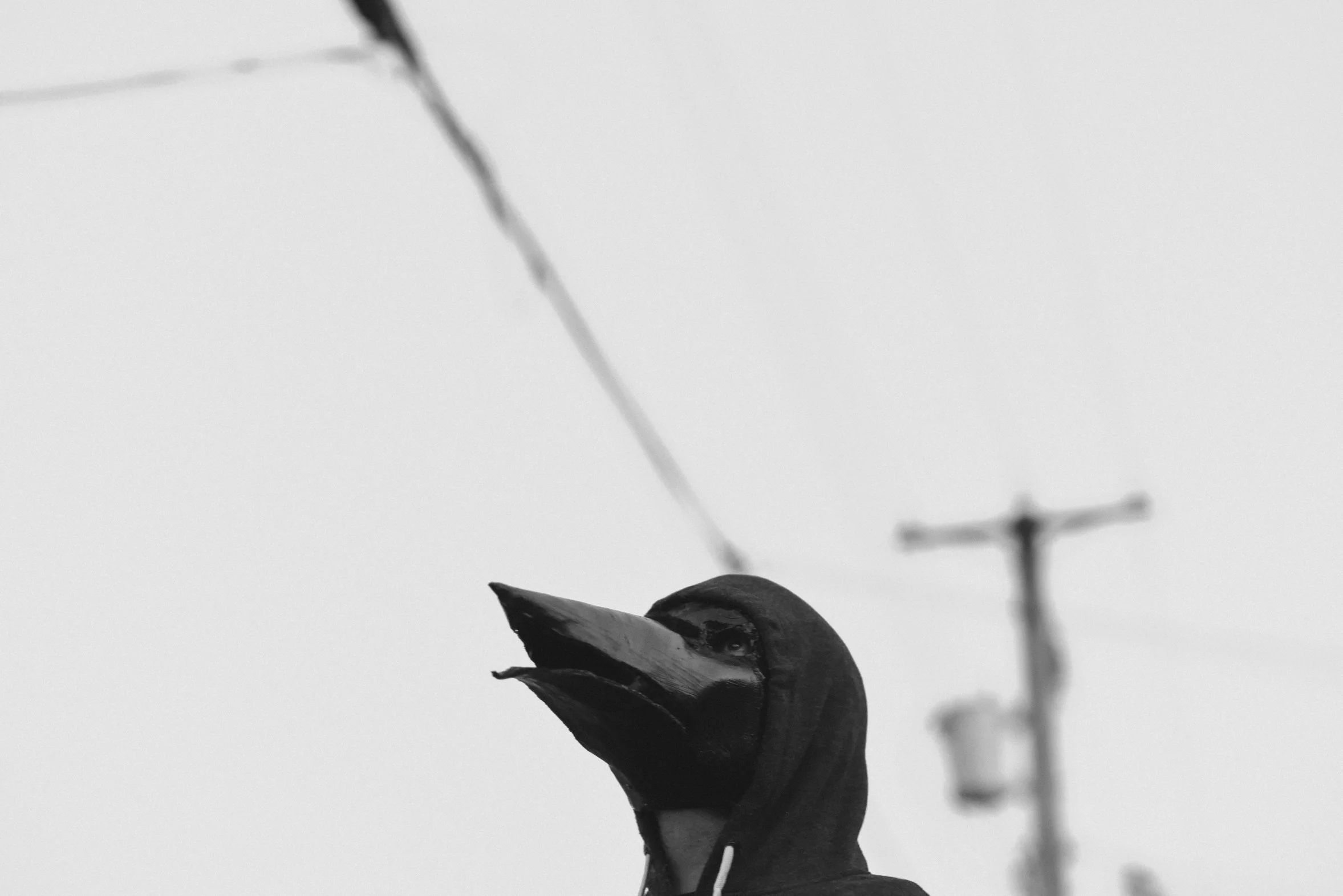 DSC_8322.jpg