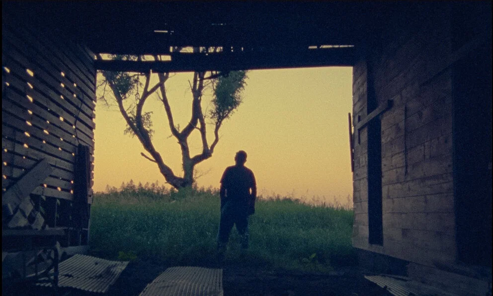 THIS IS WHERE MY LIFE IS