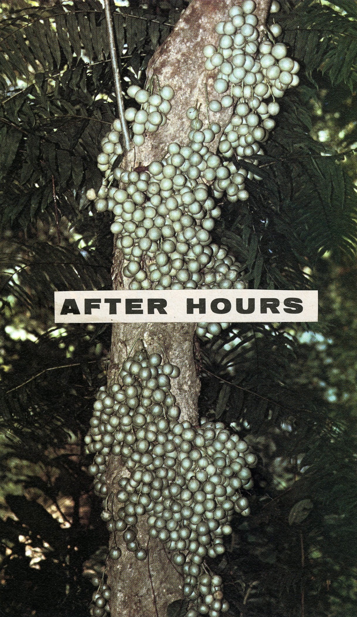 After Hours, 2013.jpg