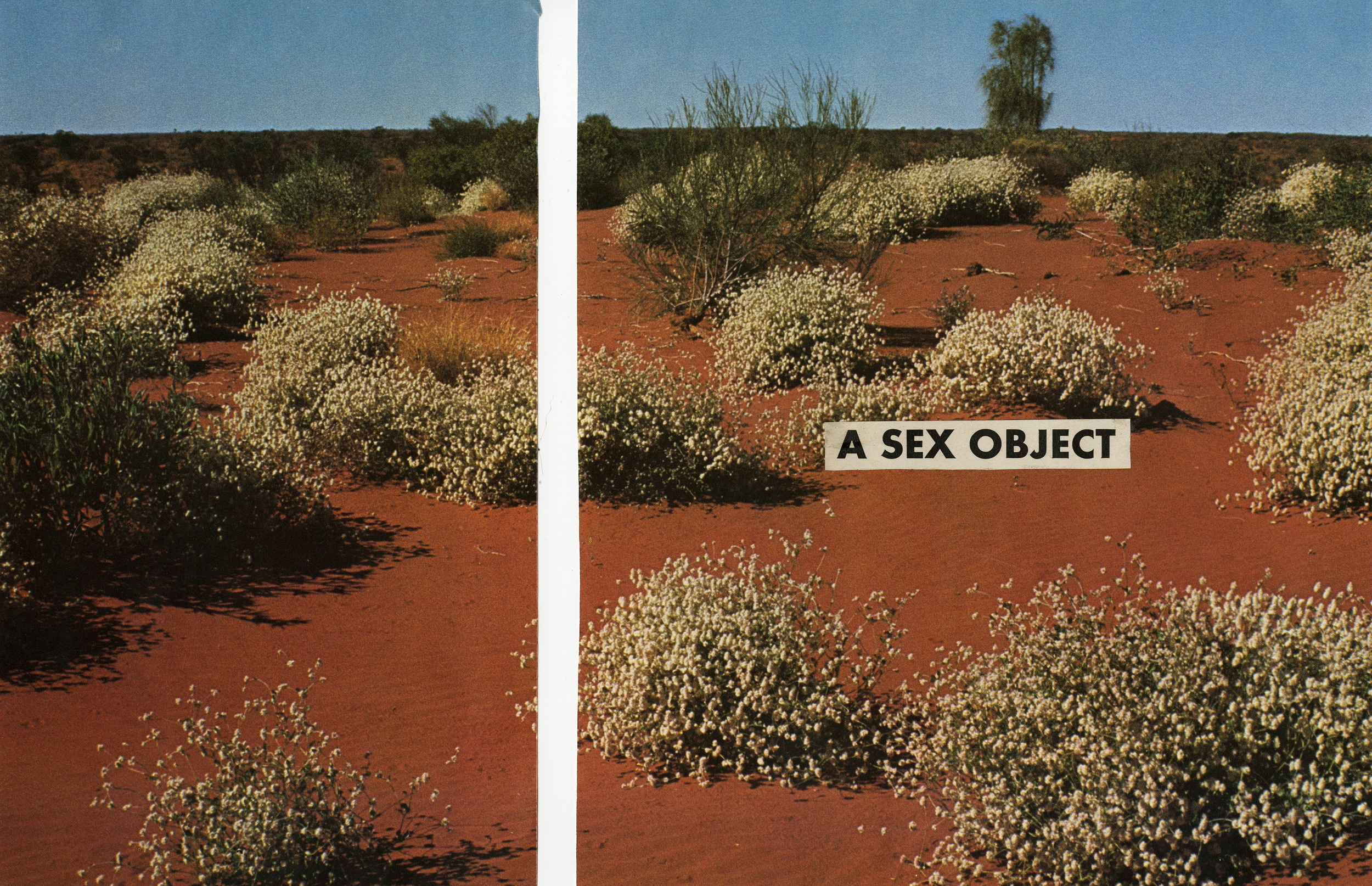 On Becoming A Sex Object #2, 2013.jpg
