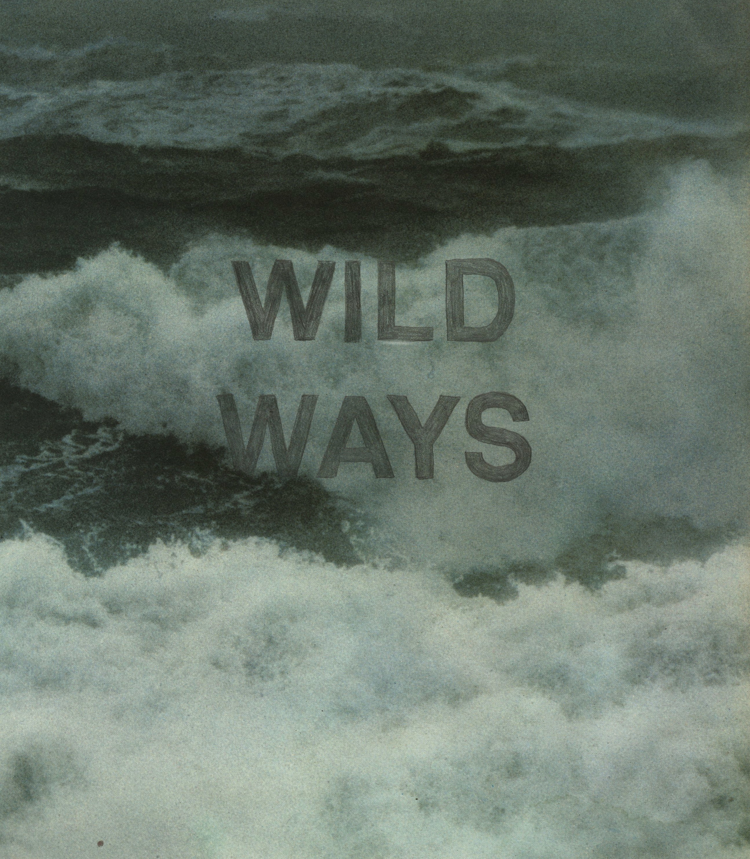 Wild Ways, 2013.jpg