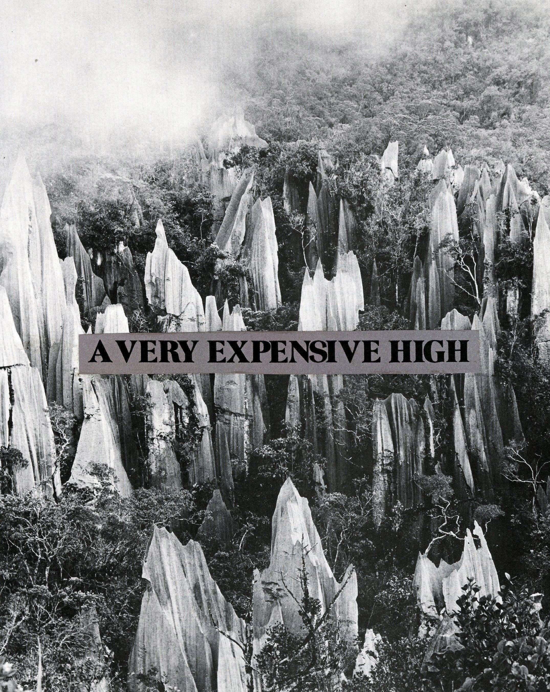 Very Expensive High, 2013.jpg