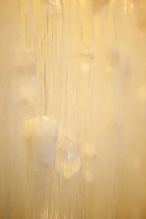34_resize-2.jpg