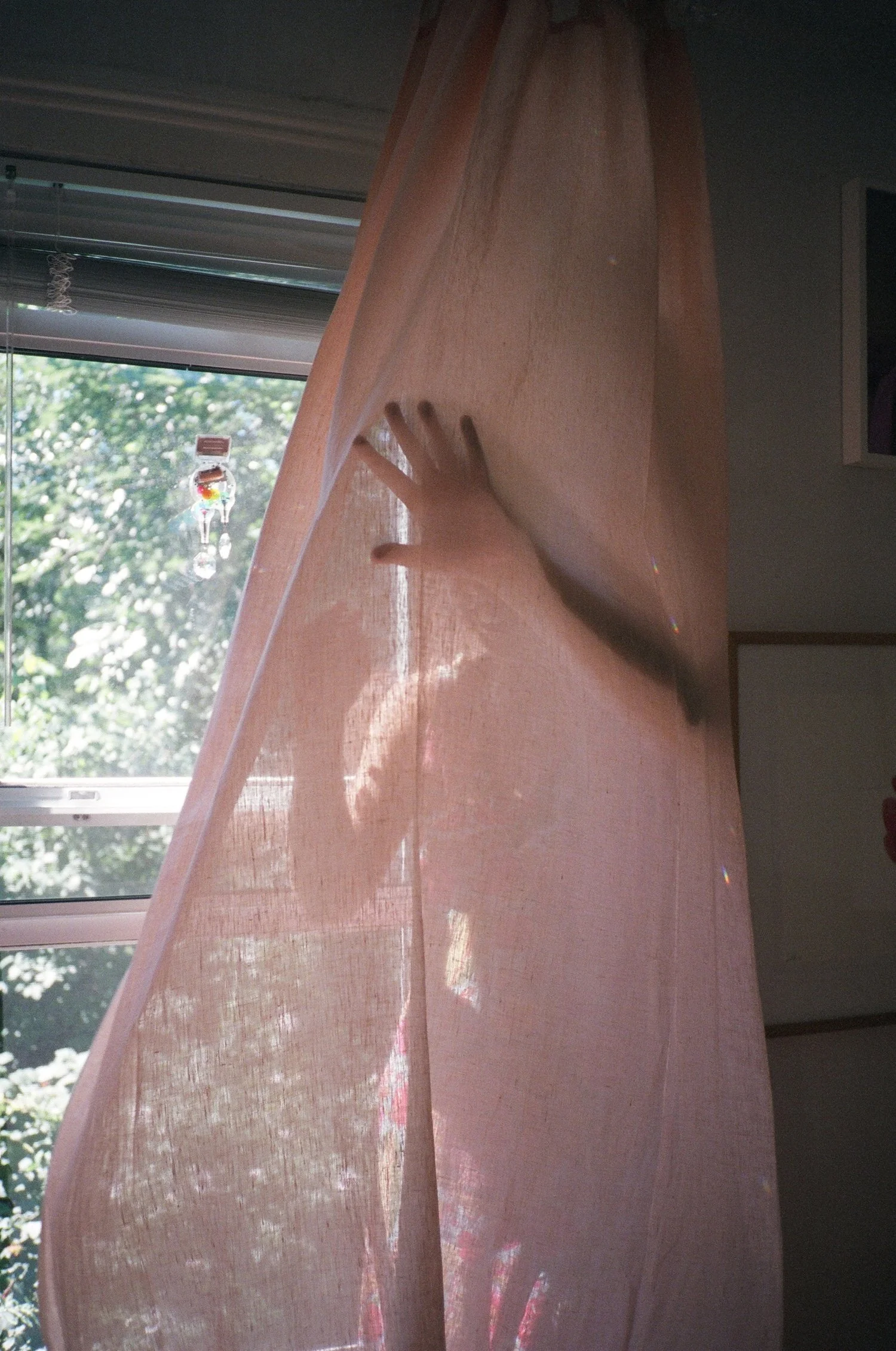 46850001.jpg