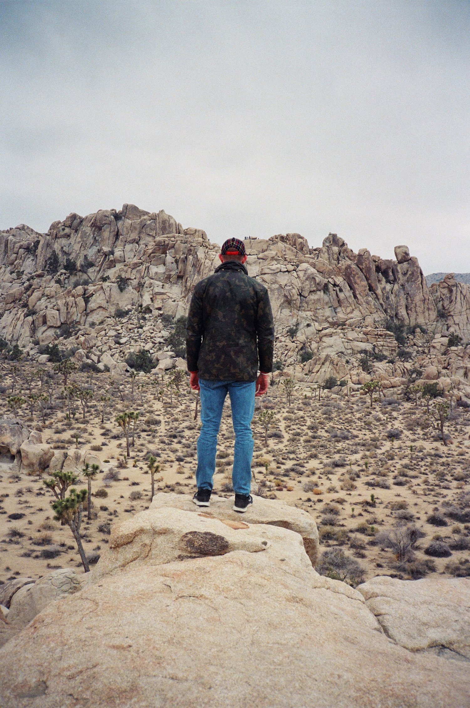 00730033.jpg