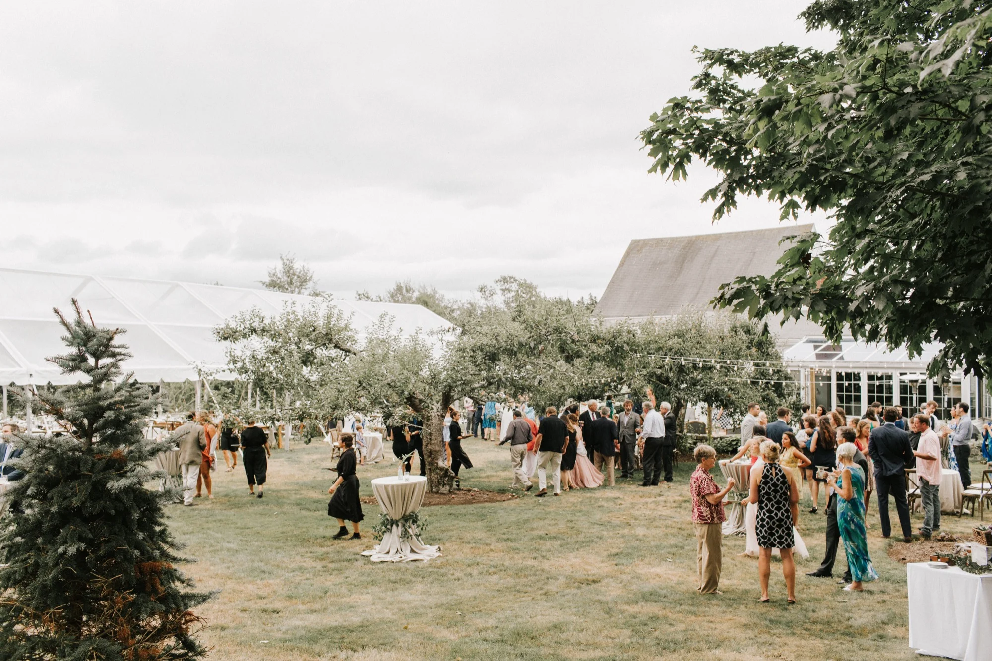 0818_Zephyr+Tony_LiveWell_jamiemercuriophoto2018-0804.jpg