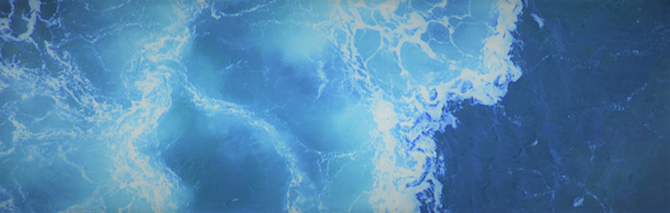 BELLWETHERfinallogo_Blue.png