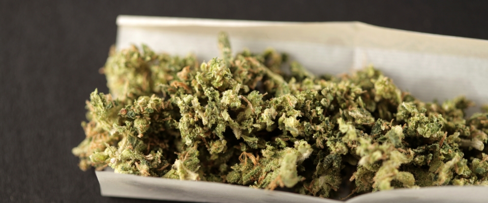 Marijuana — Hudson Health Department
