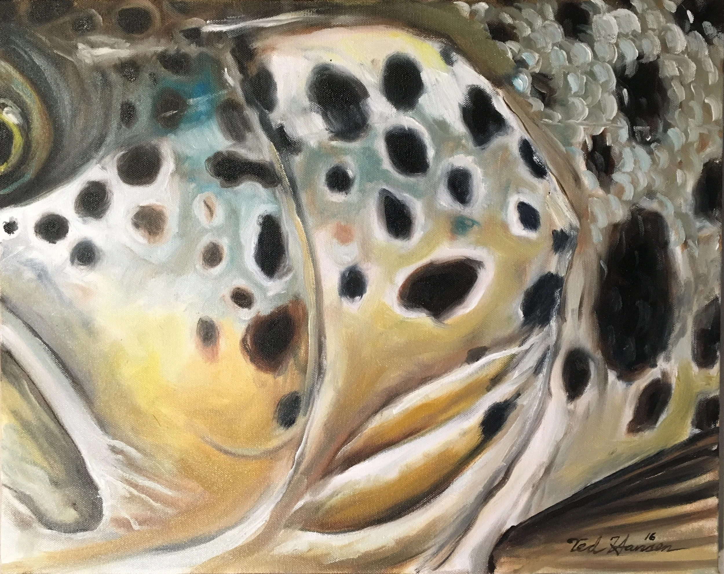 Brown Trout Cheekplate