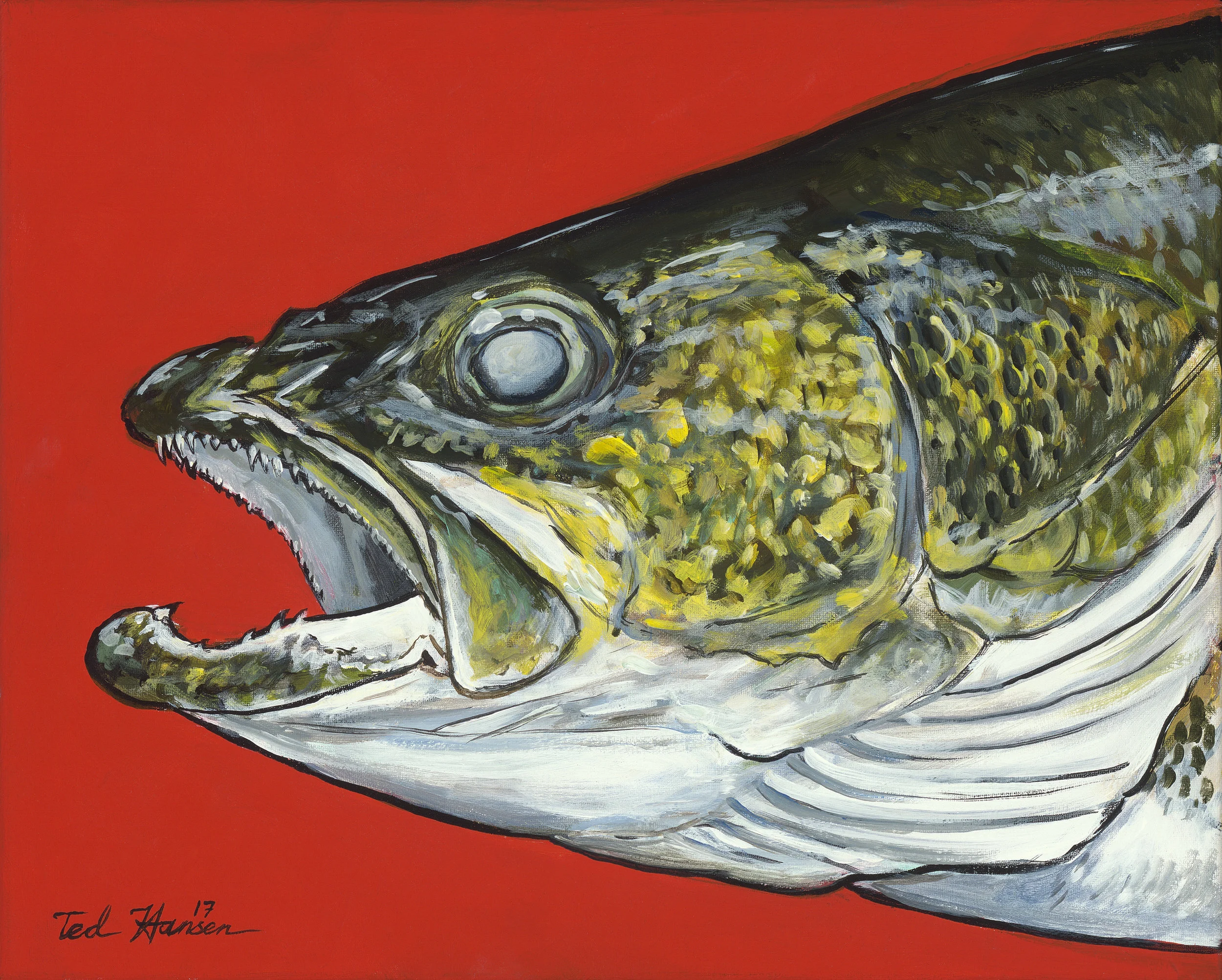 Walleye on Red