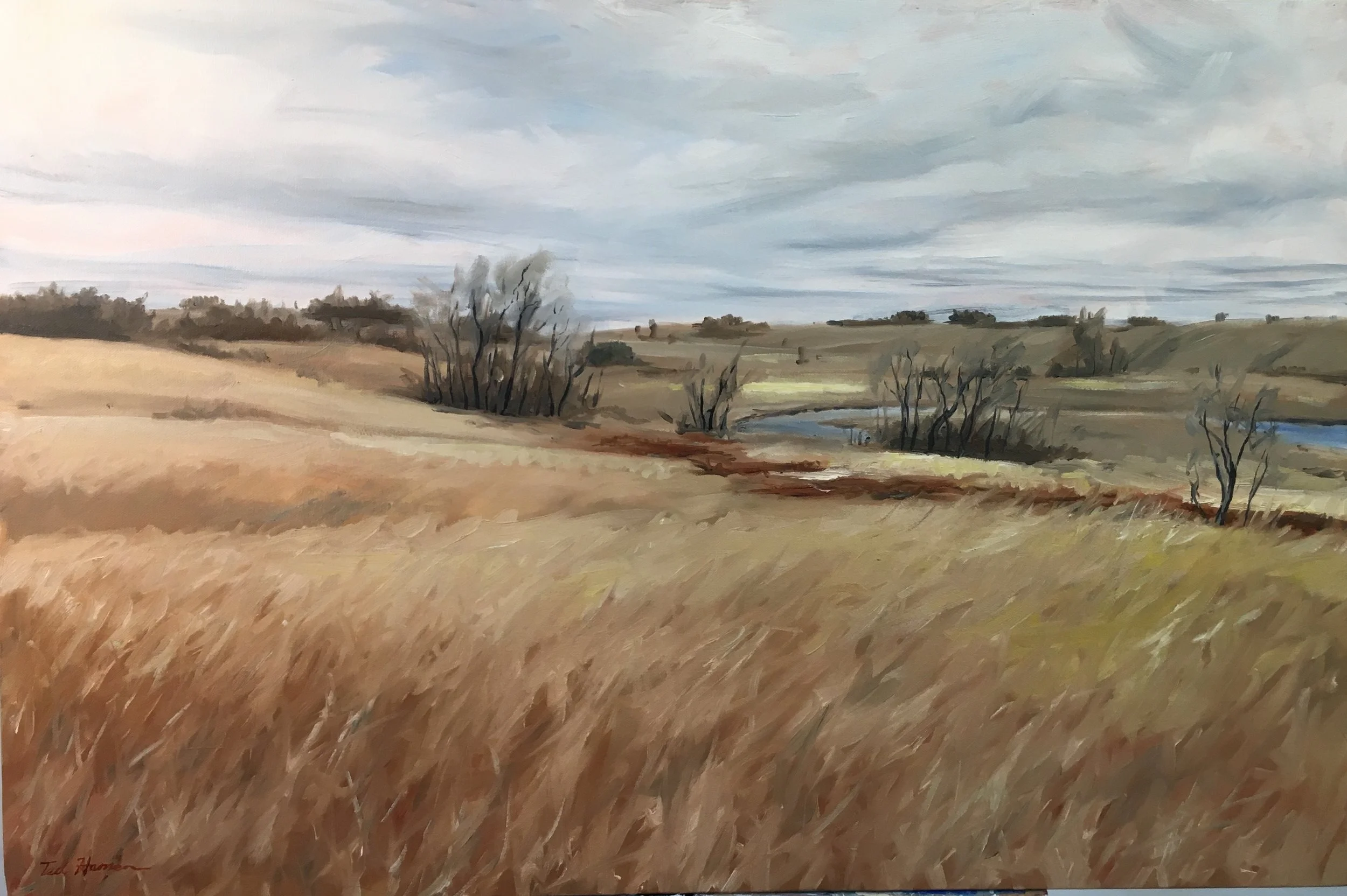 Near Morris, MN