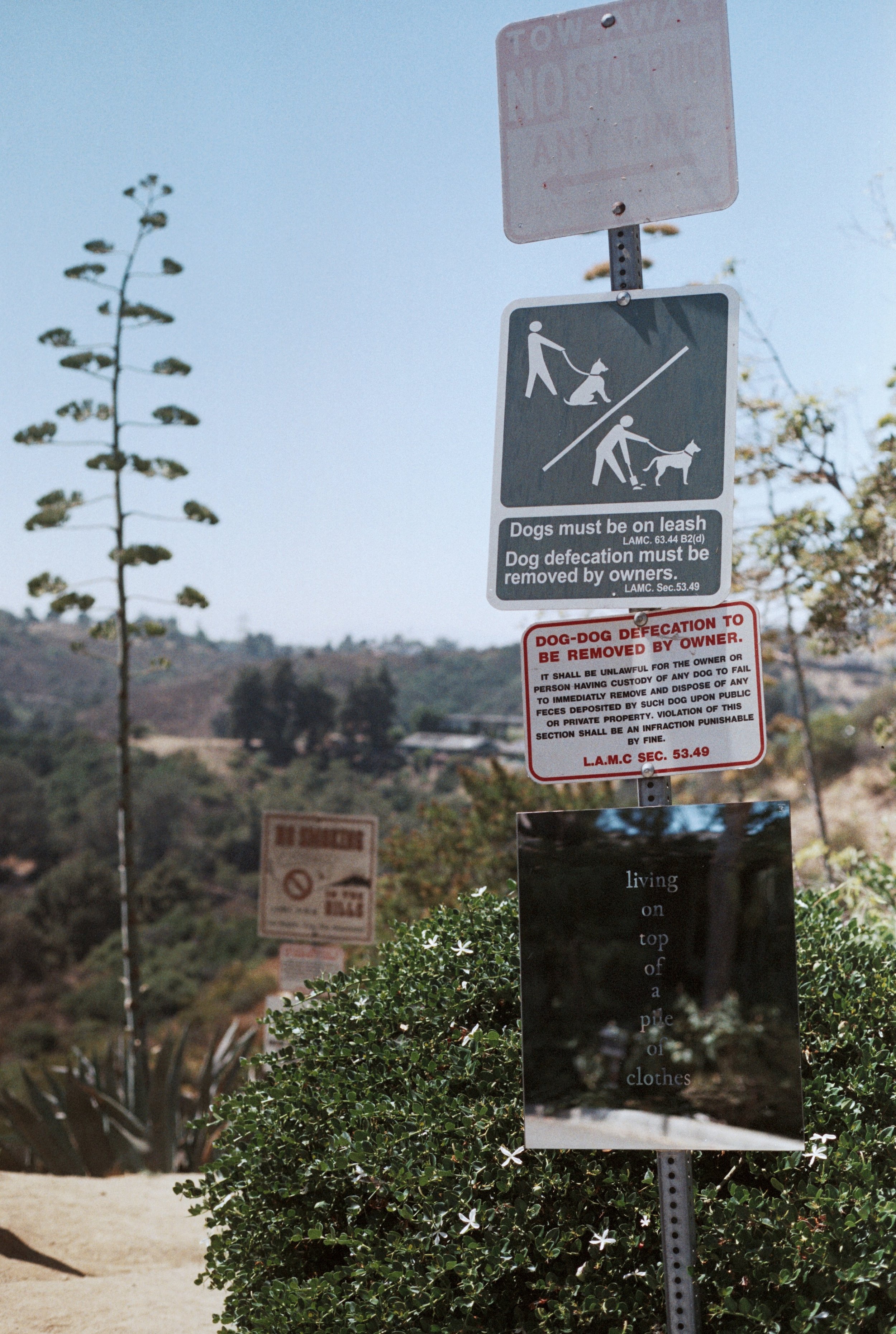 “living on top of a pile of clothes”, Beachwood Canyon trail 