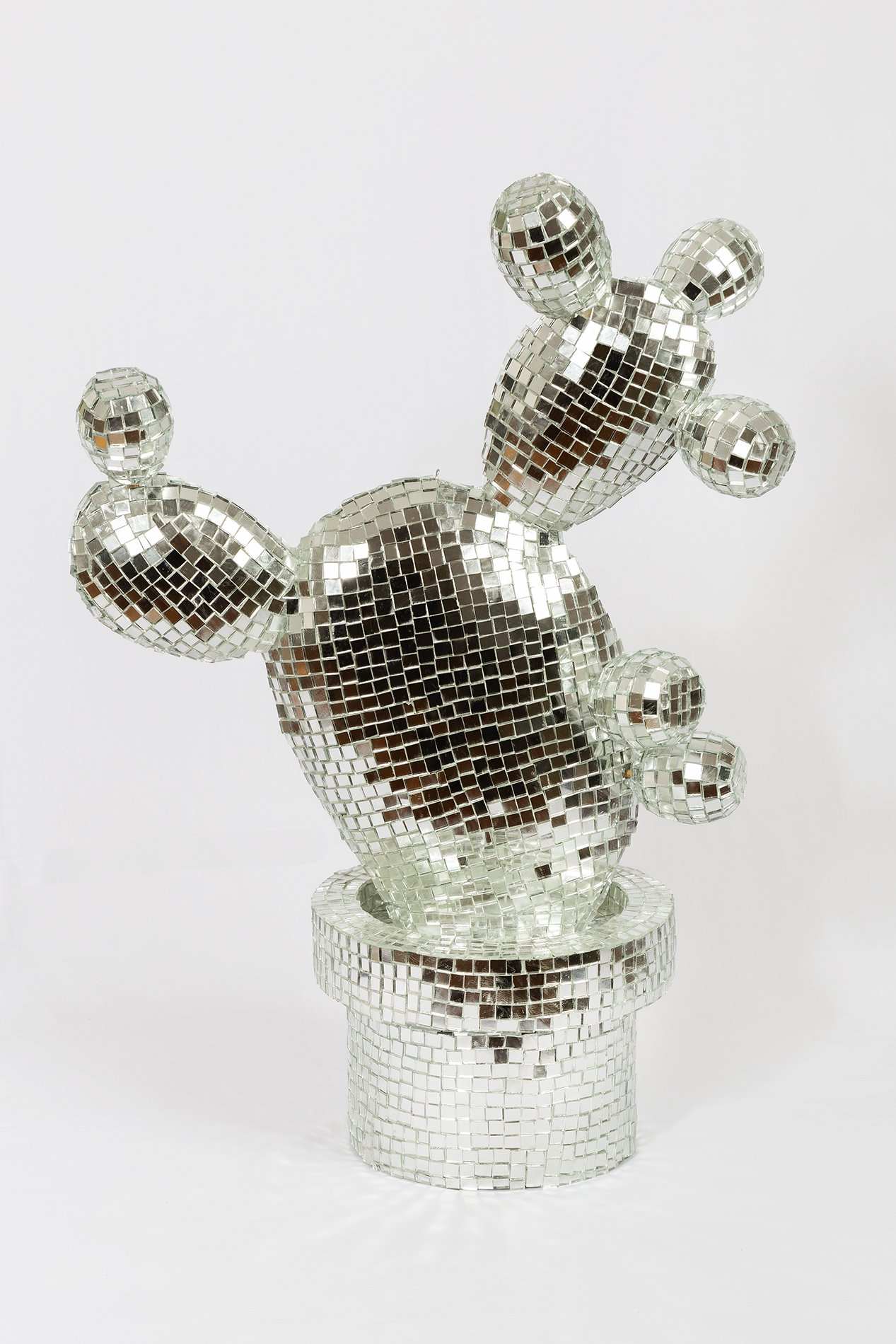 "Nopal, from the series Disco Objects"
