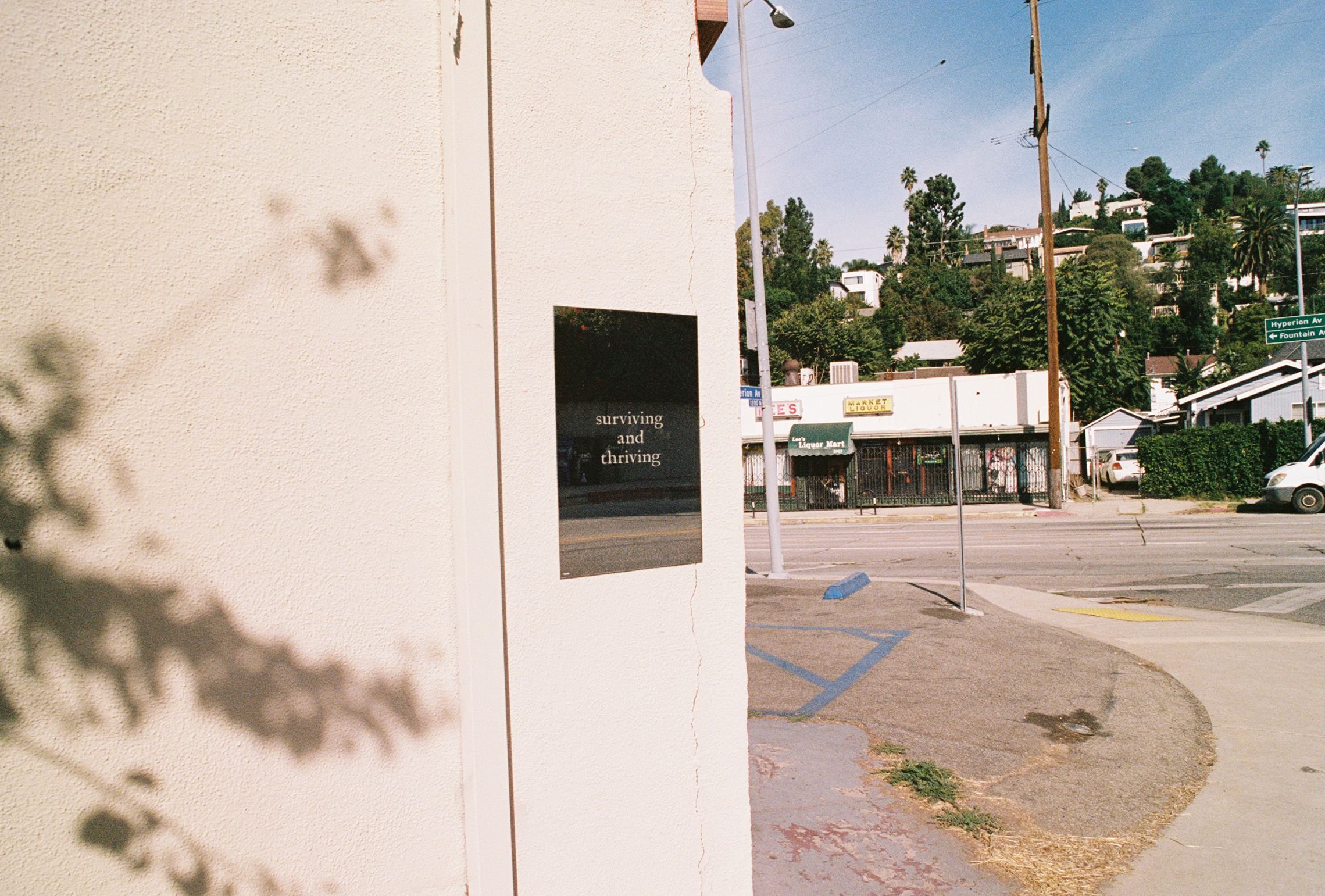 "surviving and thriving", Hyperion Ave (Silverlake)