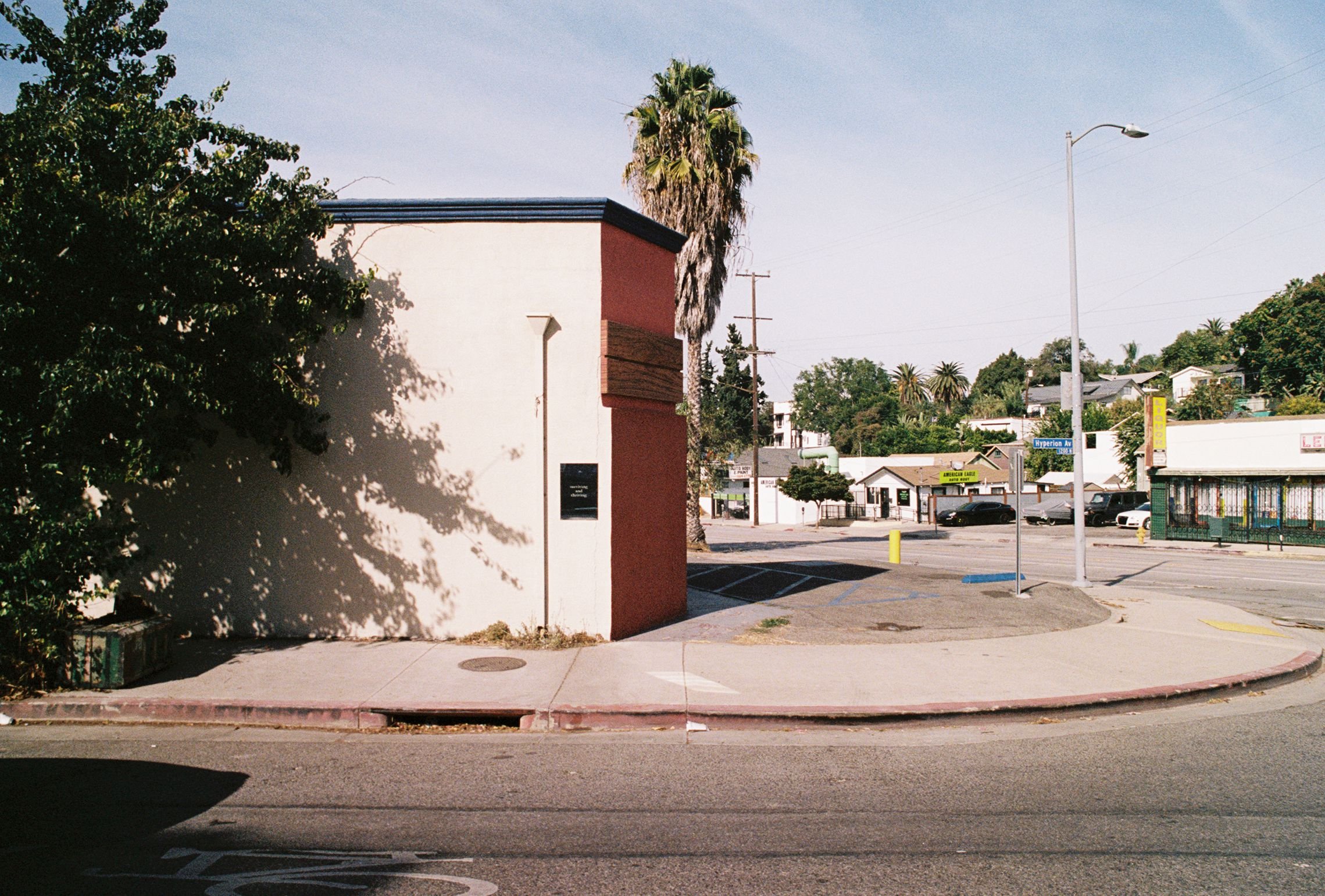 "surviving and thriving", Hyperion Ave (Silverlake)