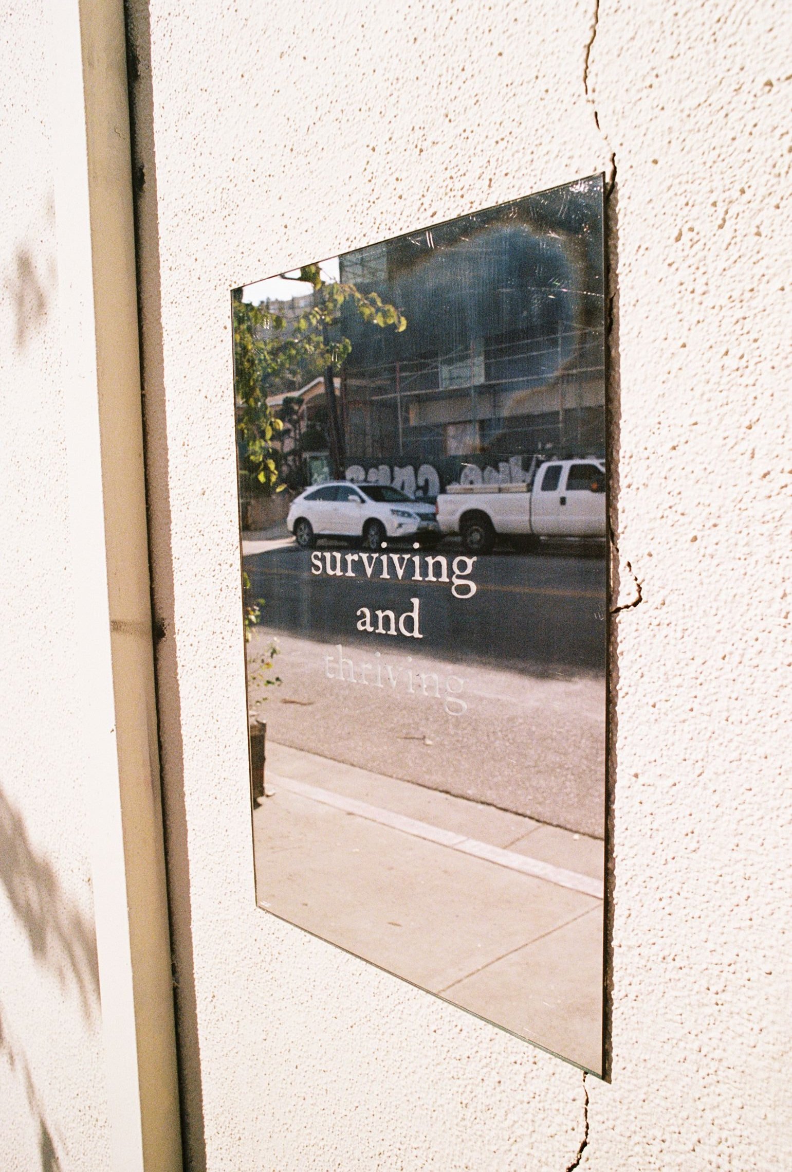 "surviving and thriving", Hyperion Ave (Silverlake)