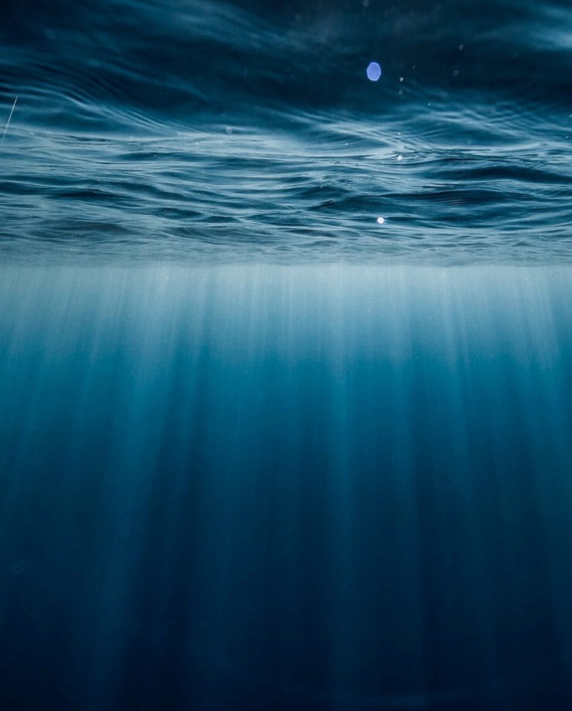 File Aug 17, 2 25 34 PM.jpeg