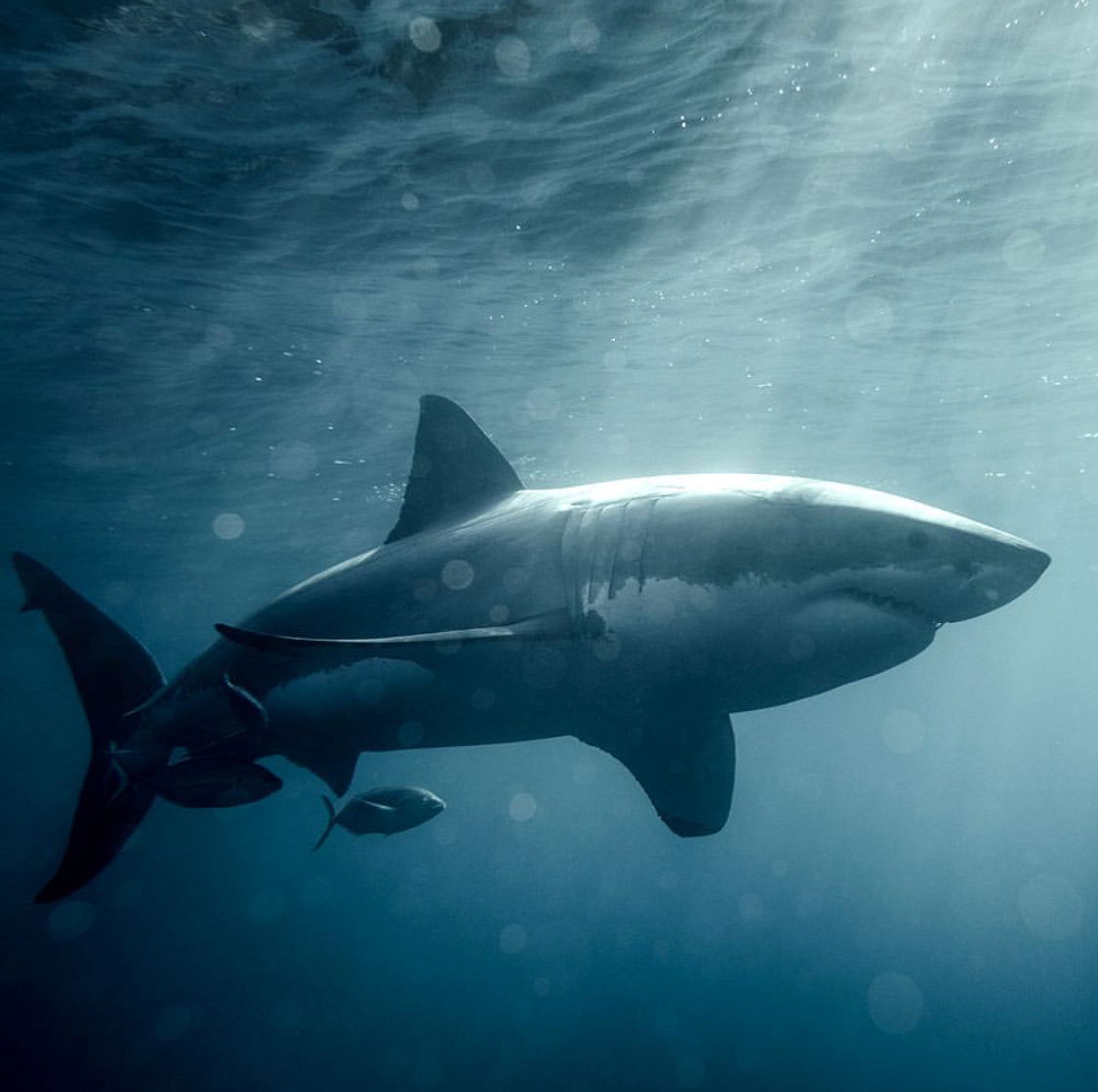 File Jul 30, 4 27 39 PM.jpeg