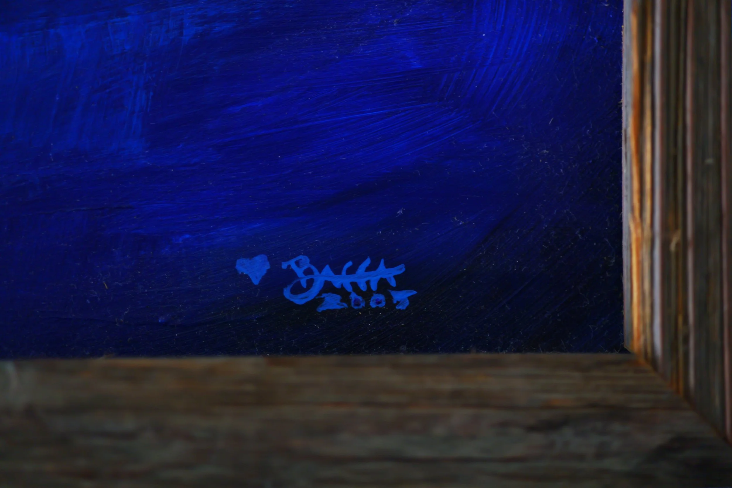 Seagull-2E3A9508 copy2.jpg