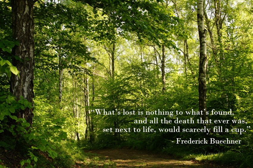 What's Lost Forest.jpg