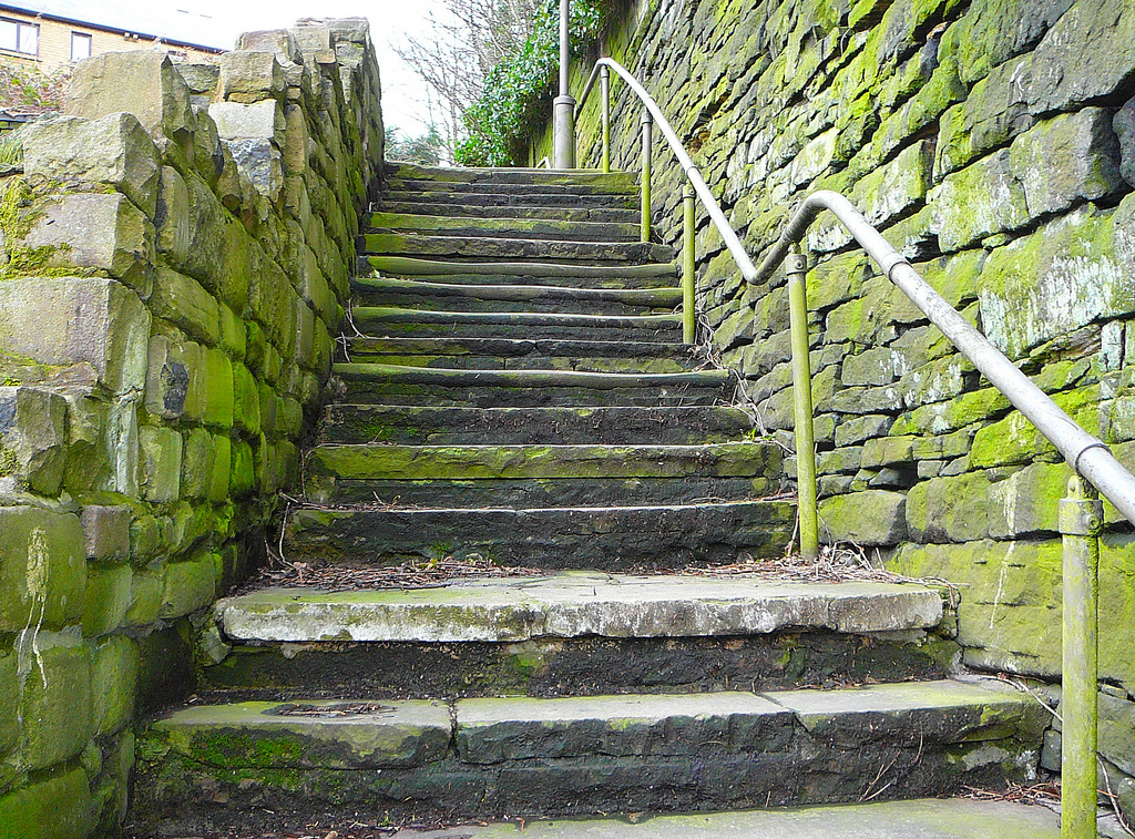 What are your next steps?