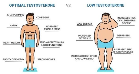 does low testosterone affect prostate)
