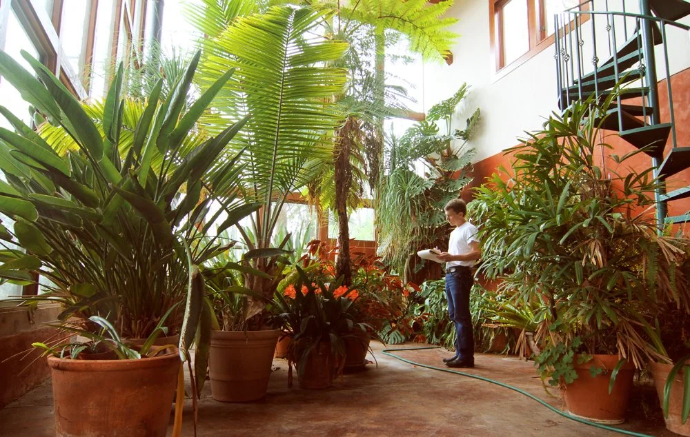 Sketching plants at a greenhouse in Fayetteville, Arkansas 2012