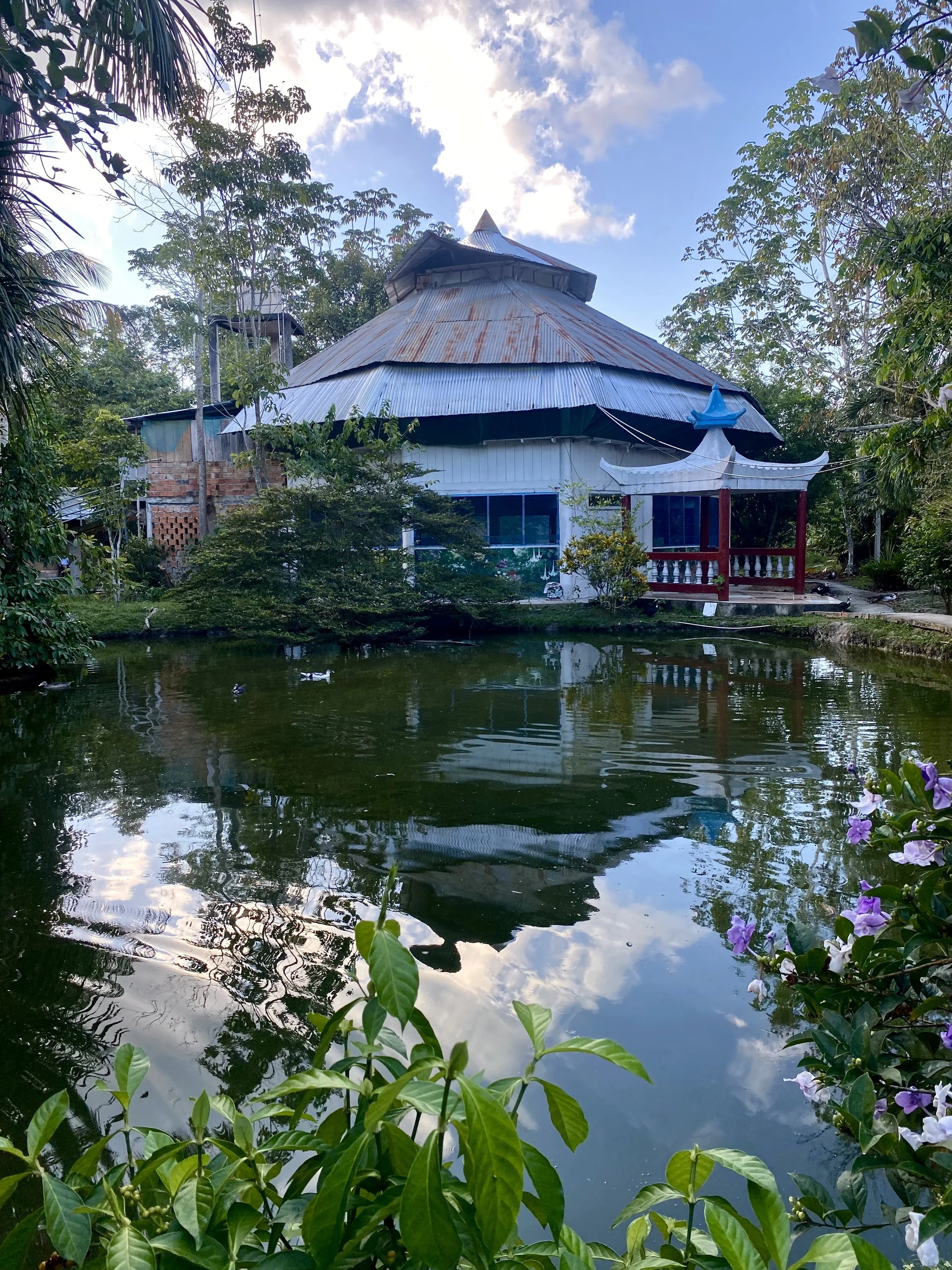 The Road to Iquitos Part 3: What Now?