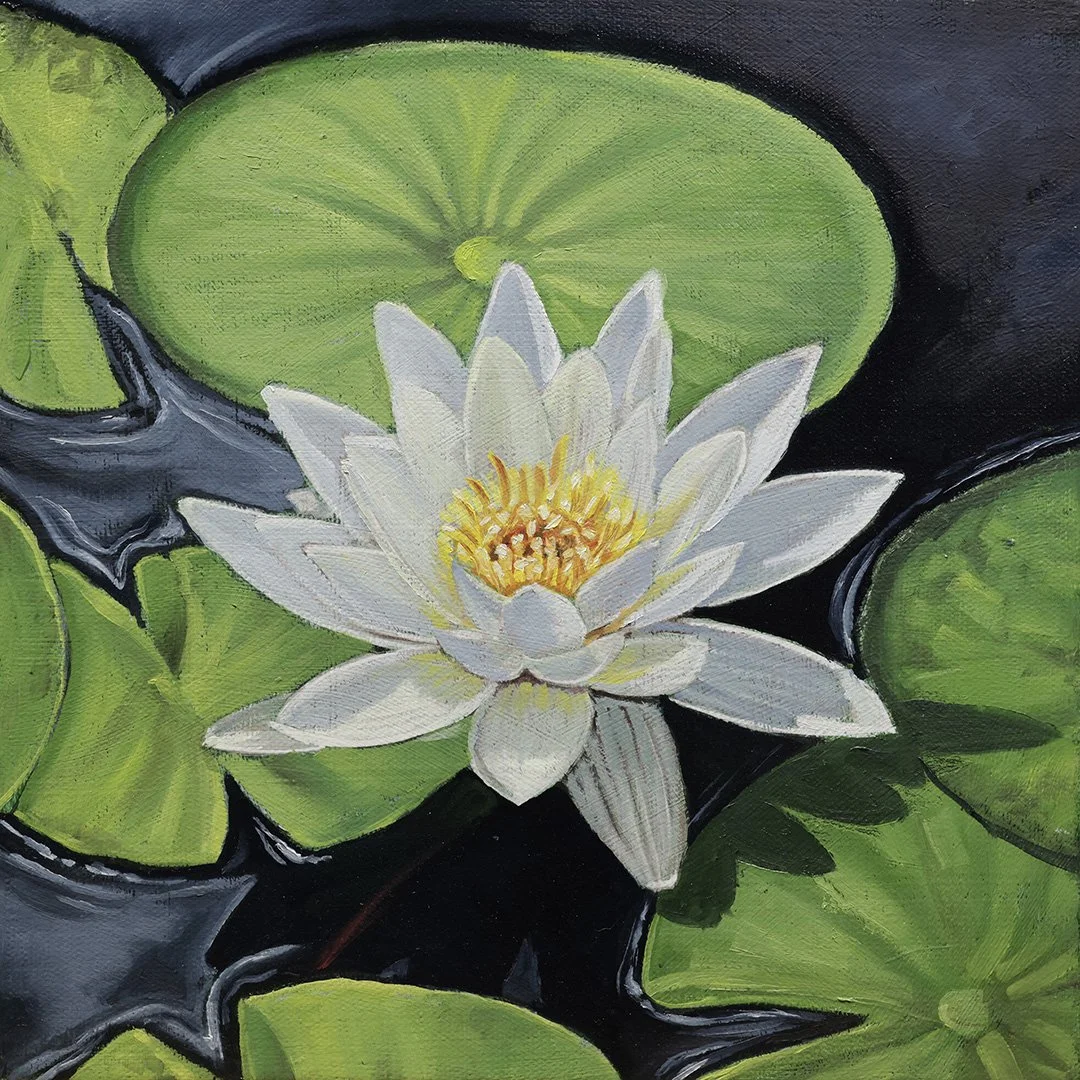 New Oil Paintings After an 8 year Hiatus 