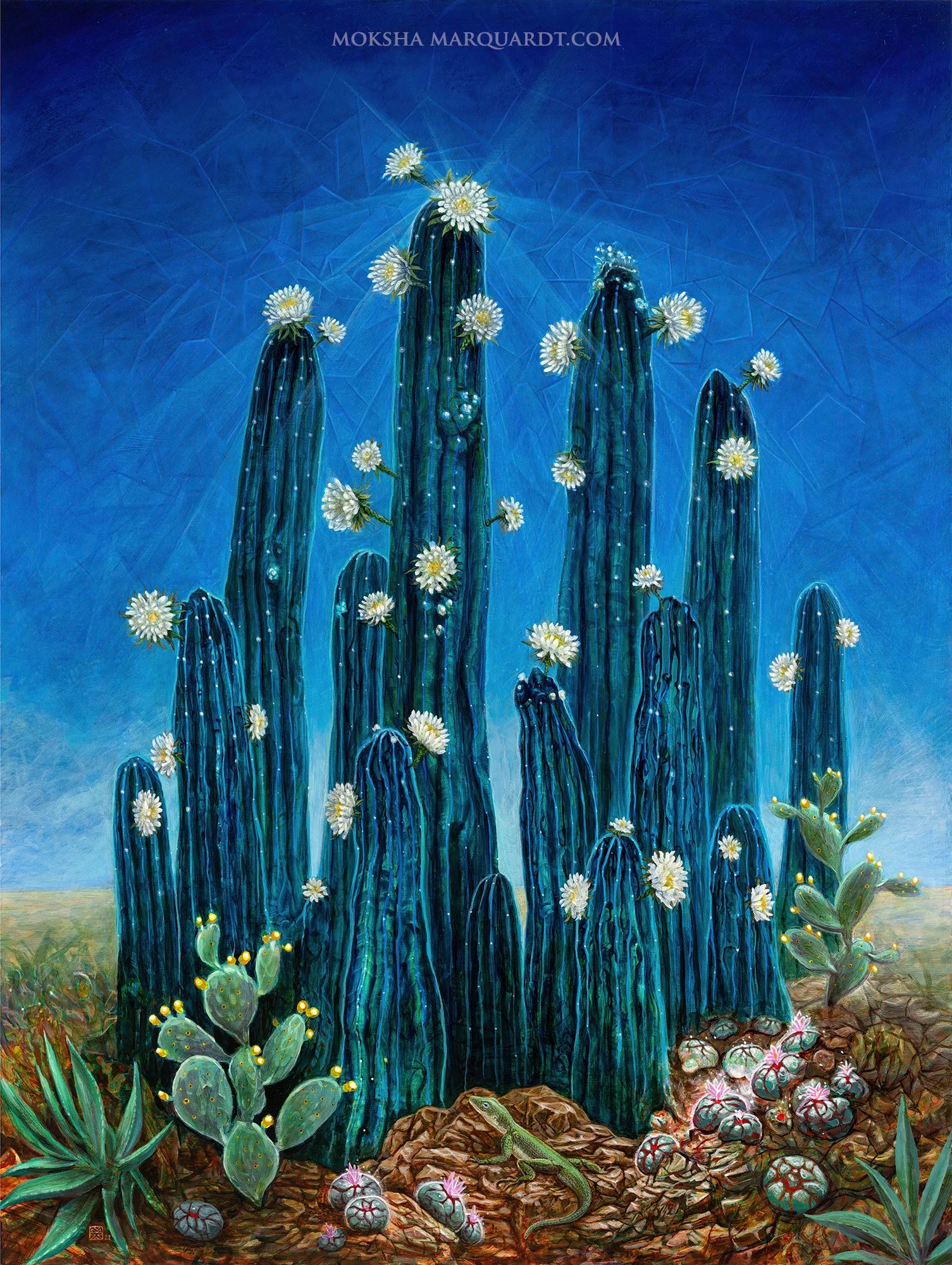 huachuma San Pedro cactus and peyote buttons in the desert with a small lizard