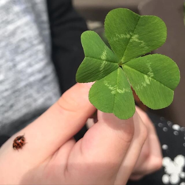 Time to double-up. 🍀🐞🍀