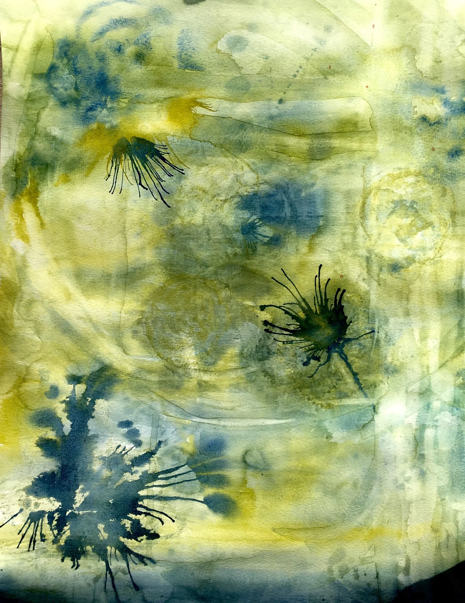 Abstract #1