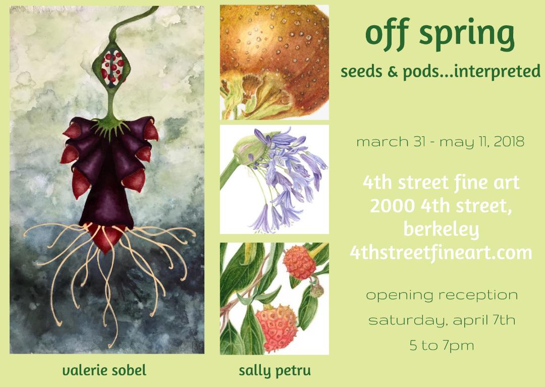 Artist RECEPTION: OffSpring ... Seeds & Pods Interpreted.