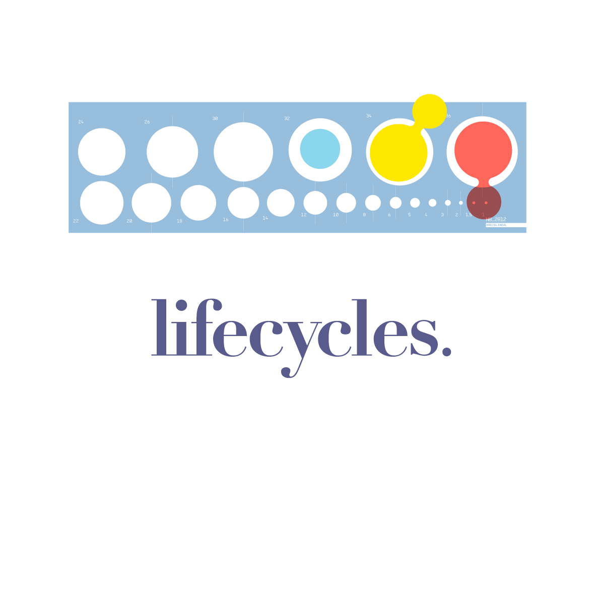 Lifecycle-colour palette-07.png
