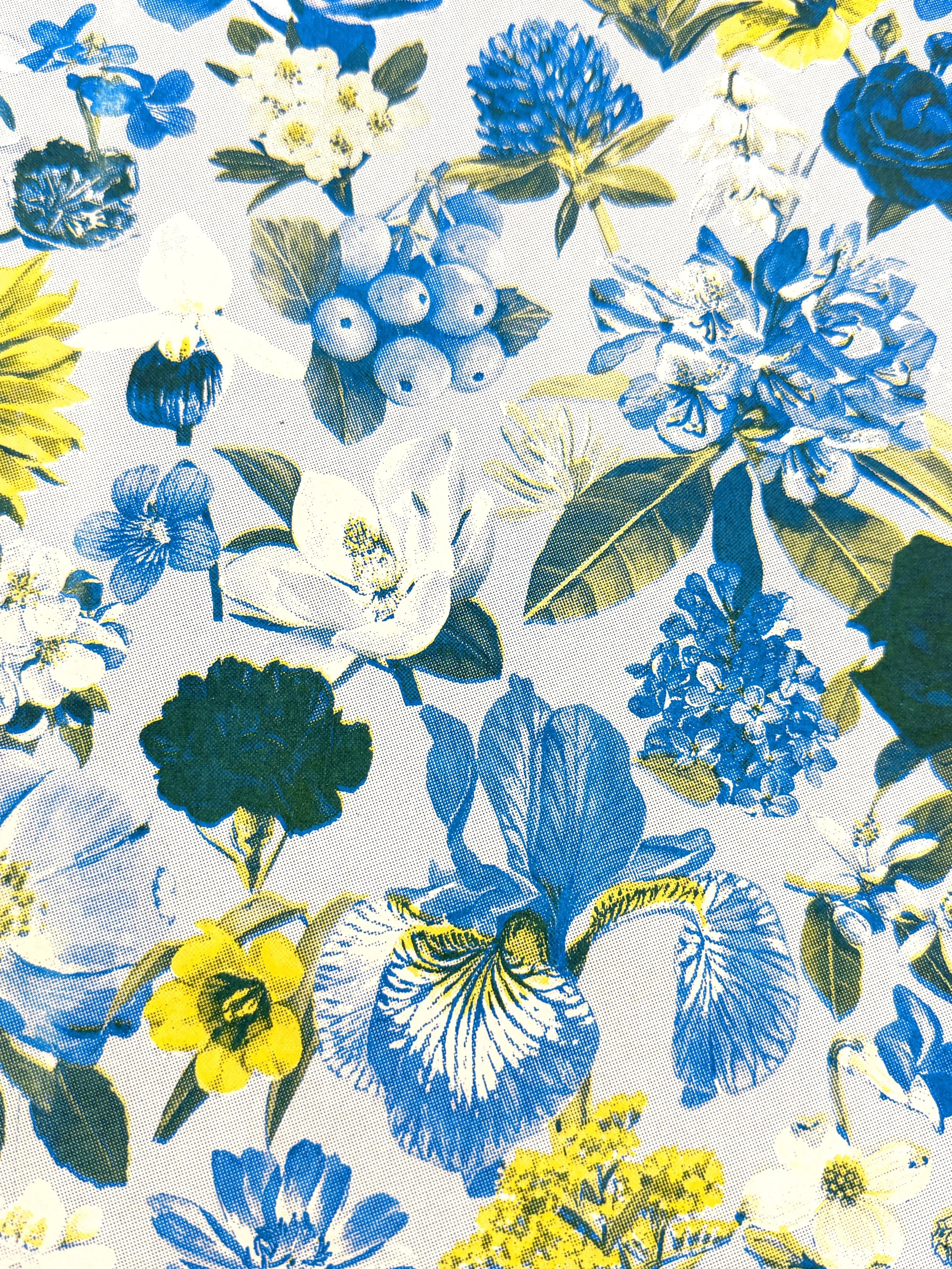 blue riso detail.jpg