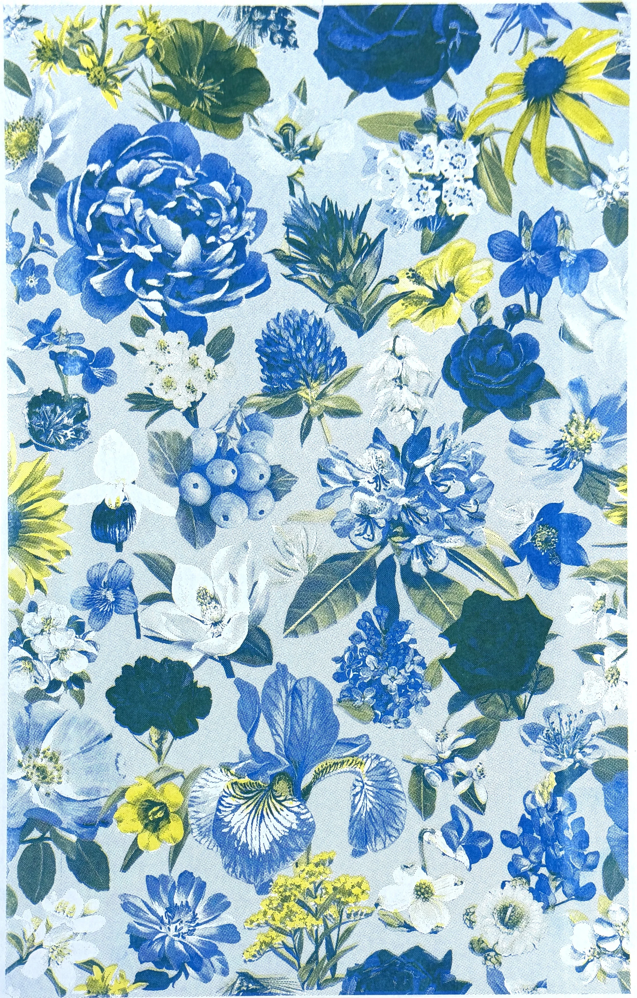 blue risograph full.jpg