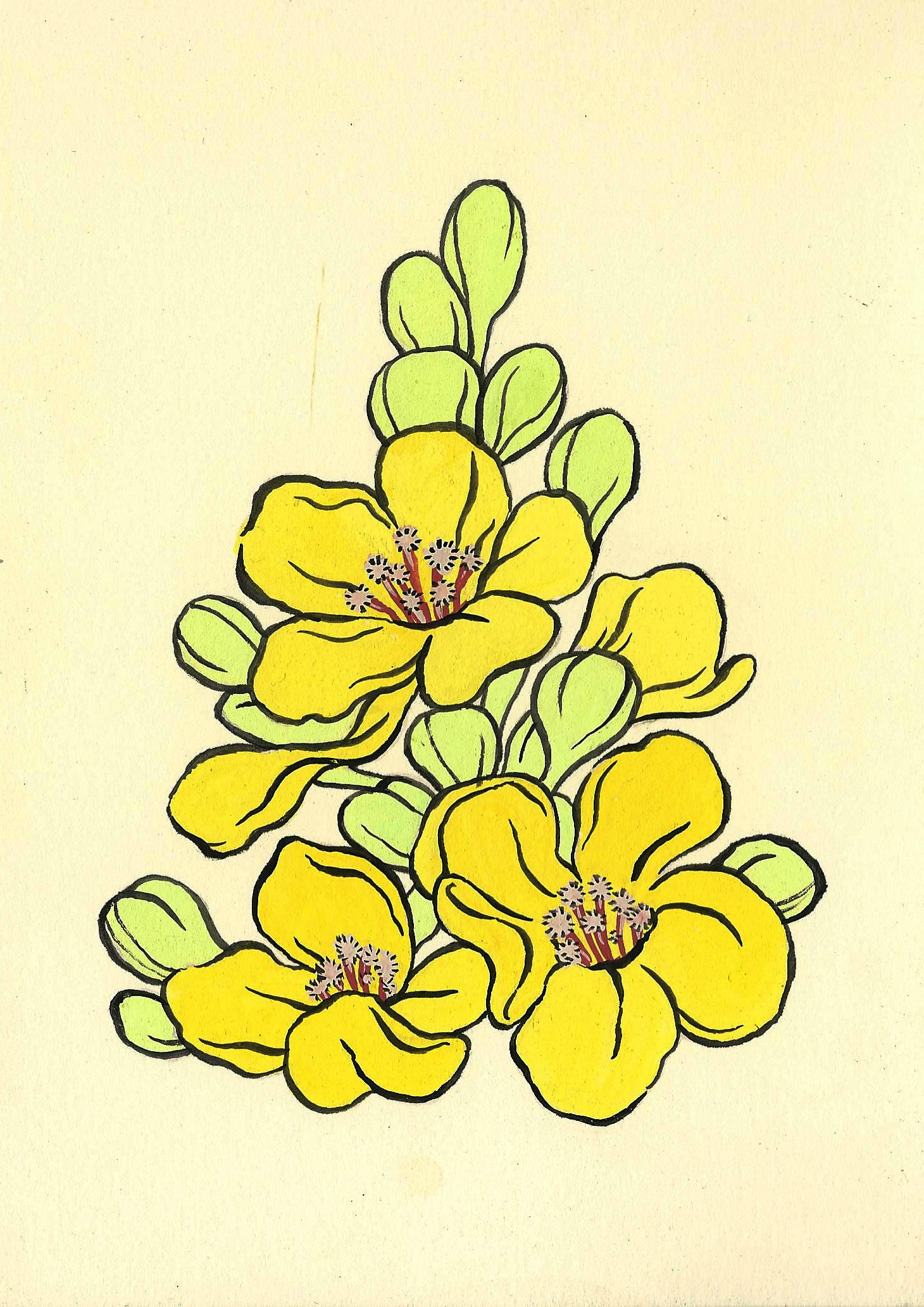 botanical1.jpeg
