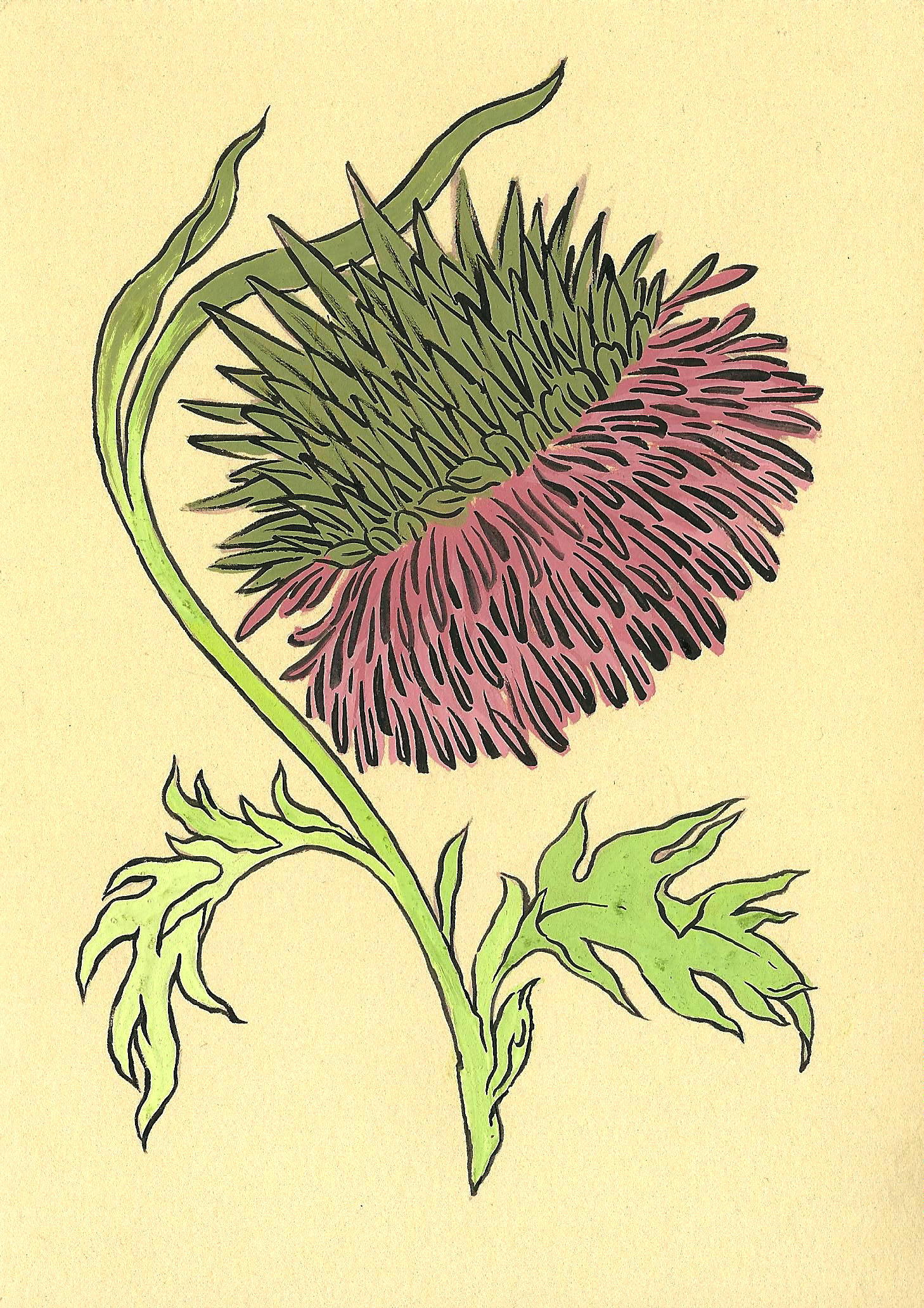 thistle.jpeg