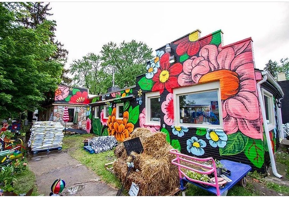The Garden Bug, Detroit