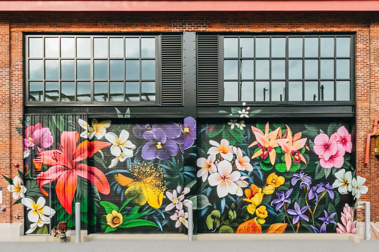 Sunday Smiles Be The Helper