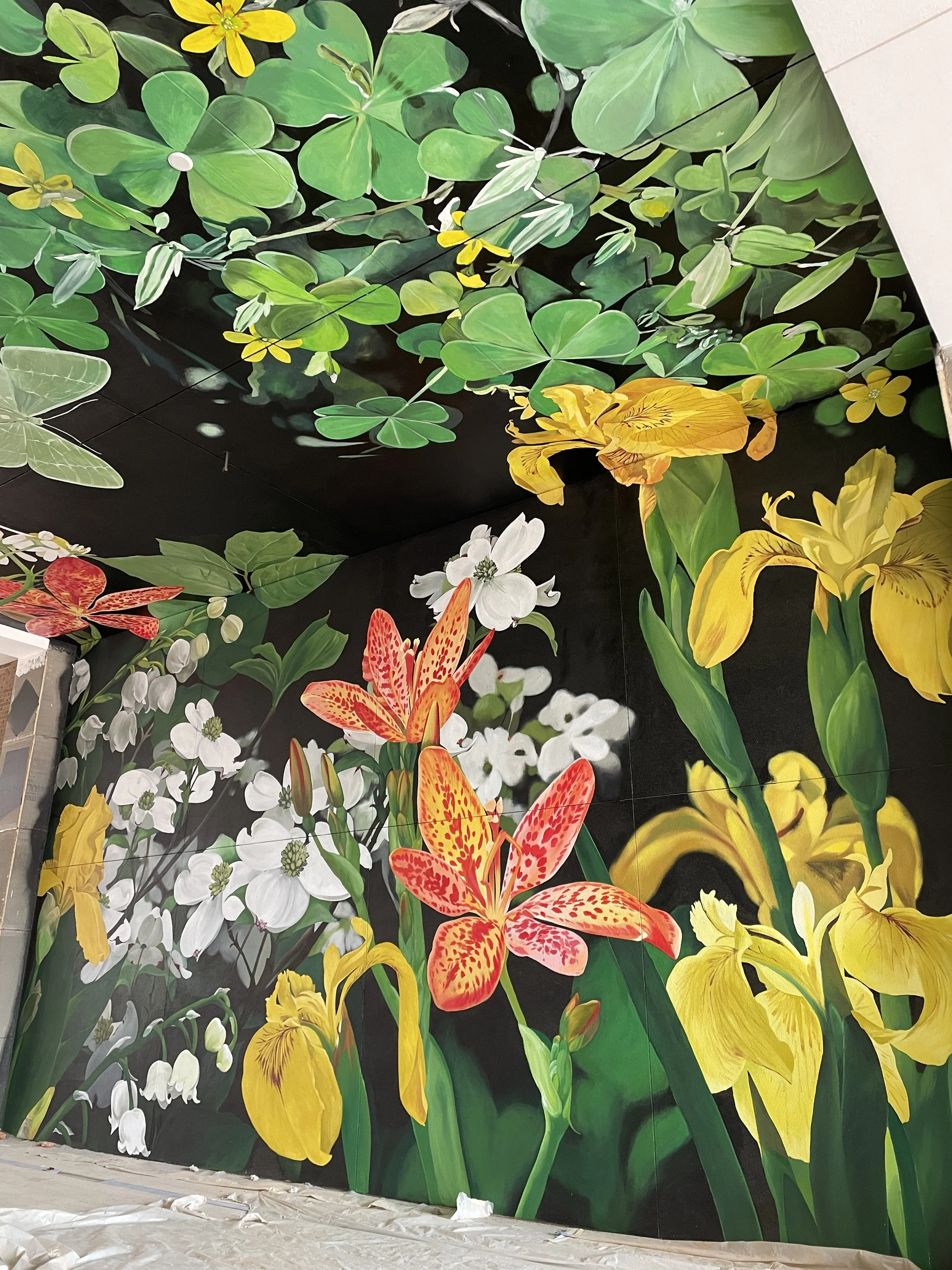 MURALS - OUIZI — Louise Jones