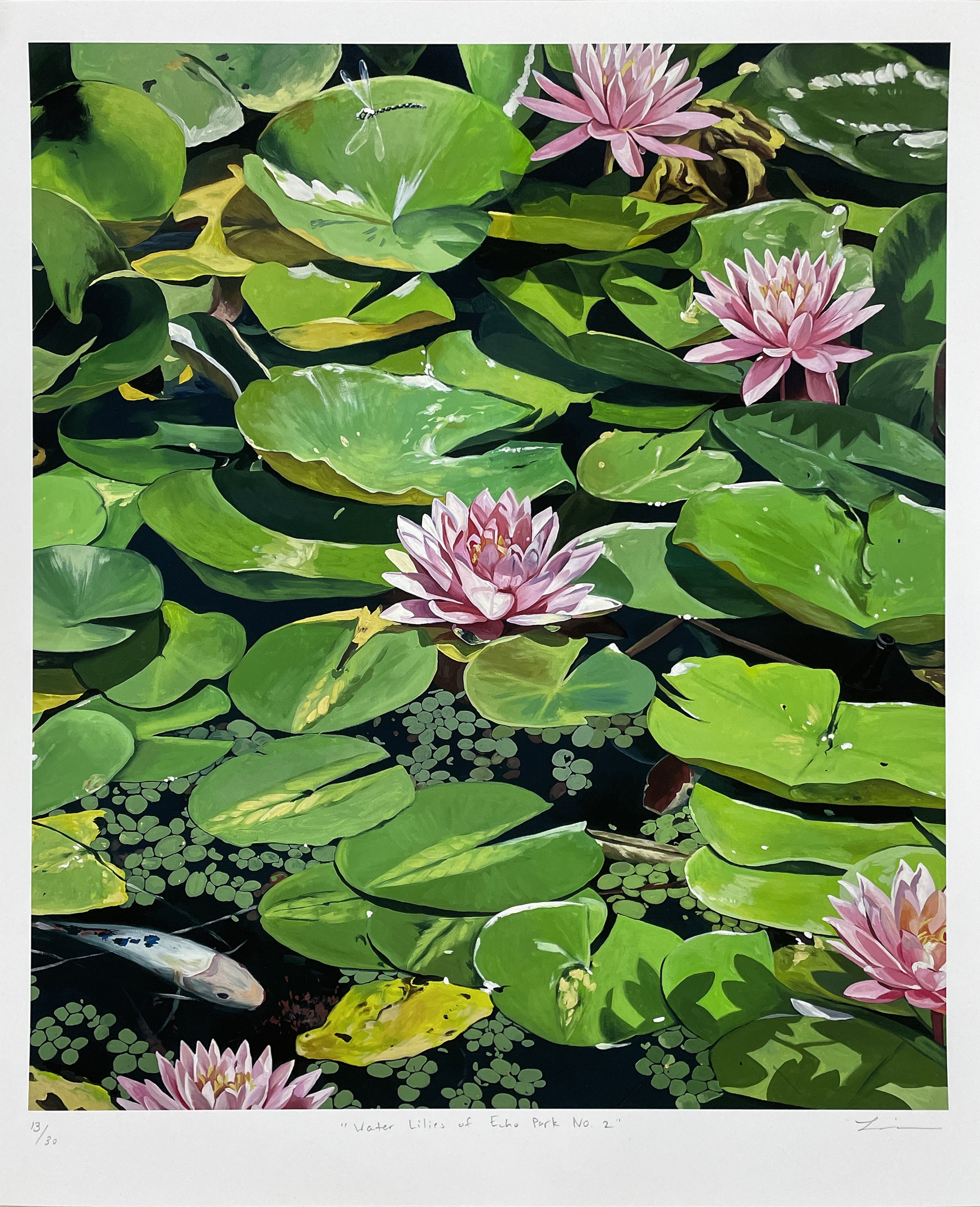 waterlilies2.jpg
