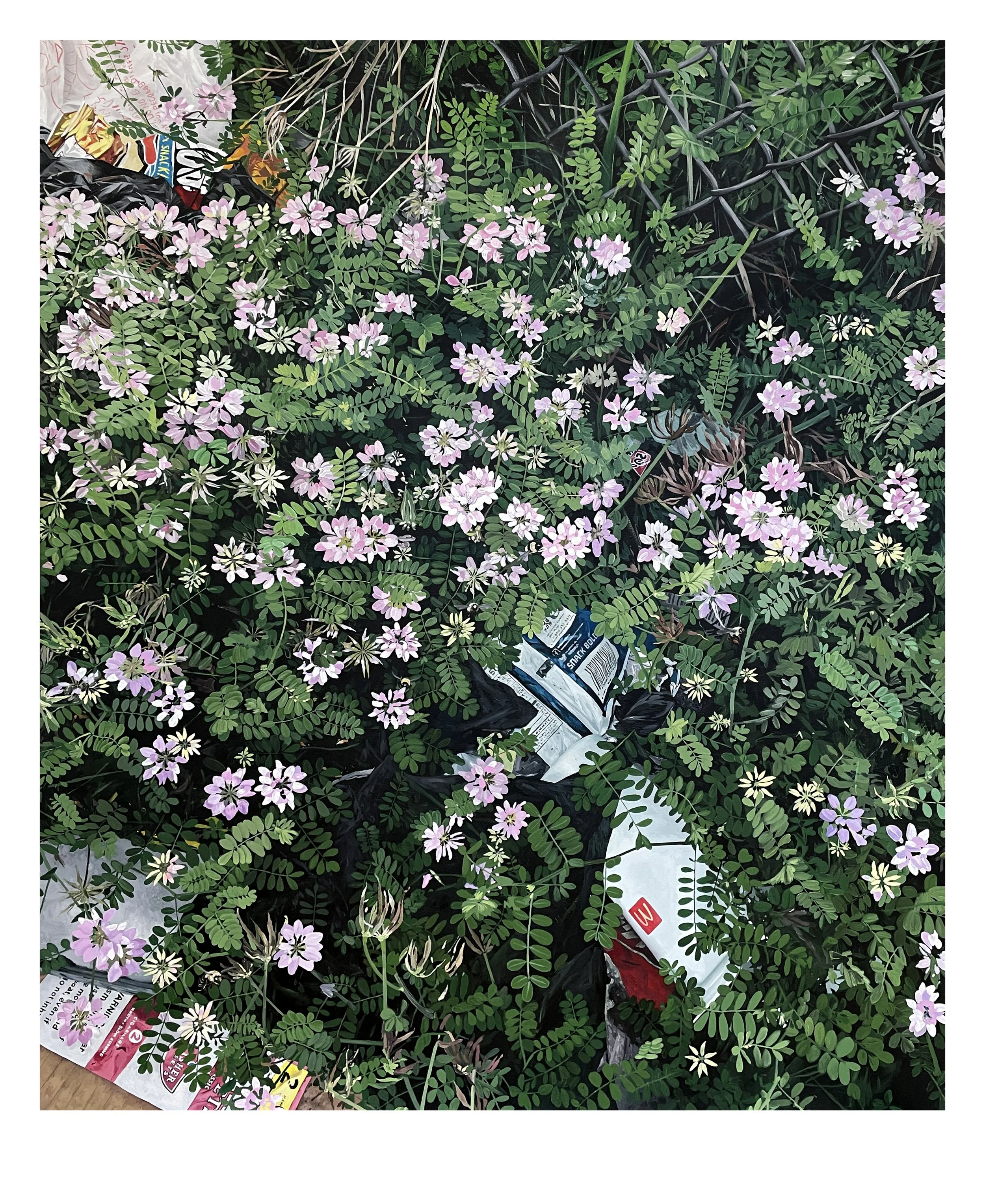 crownvetch.jpg