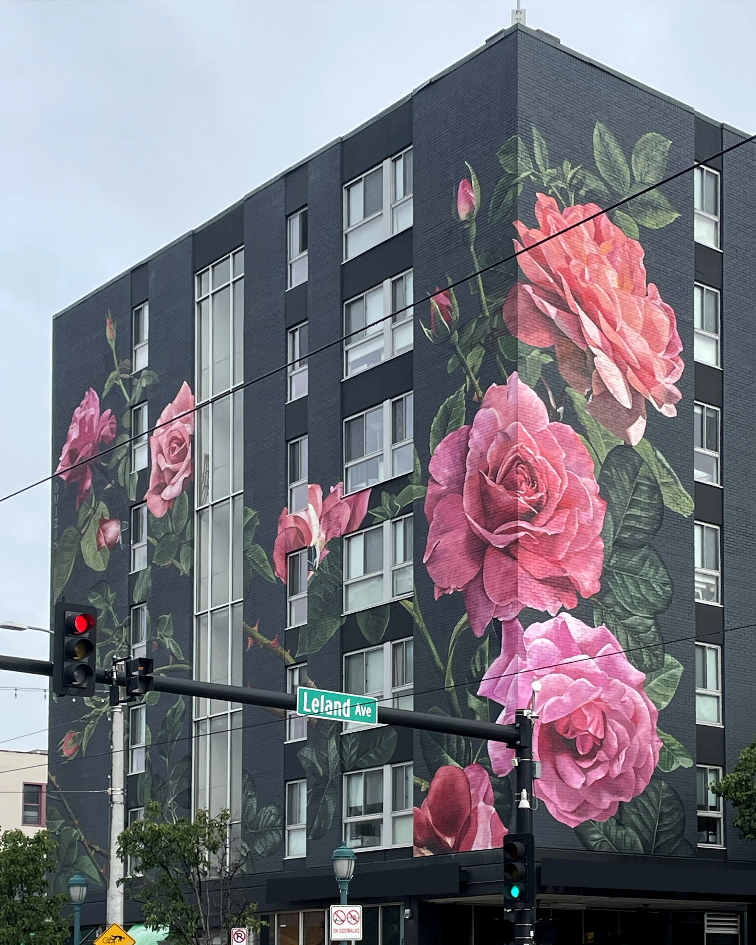 MURALS - OUIZI — Louise Jones