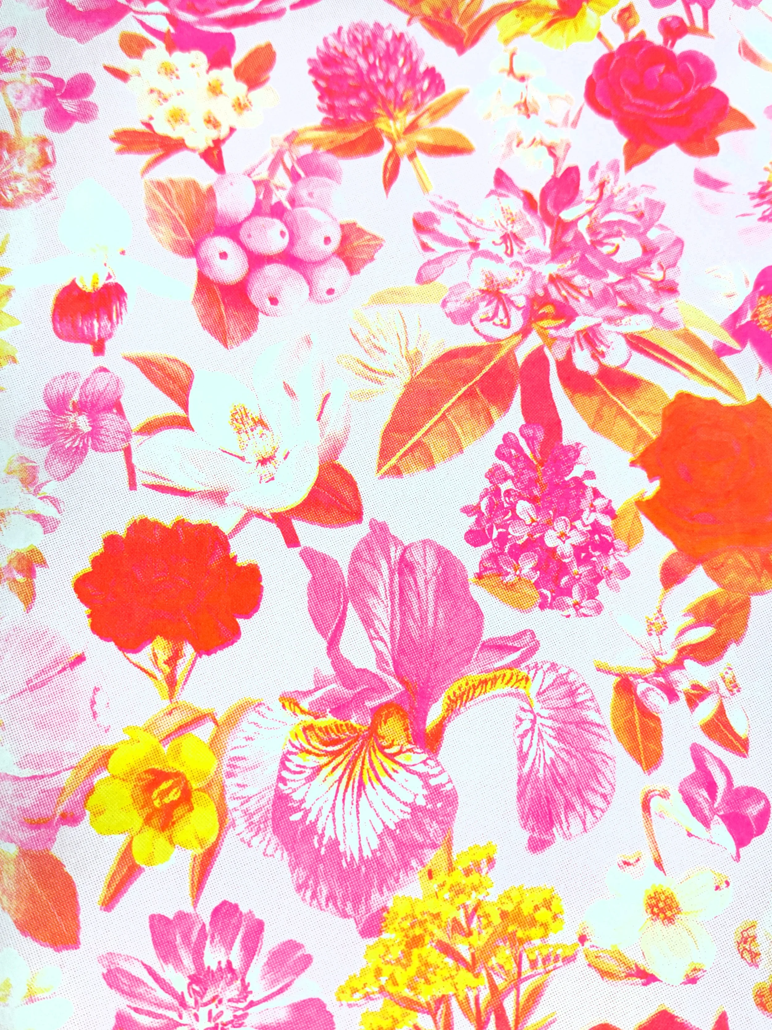 pink riso detail.jpg (Copy)
