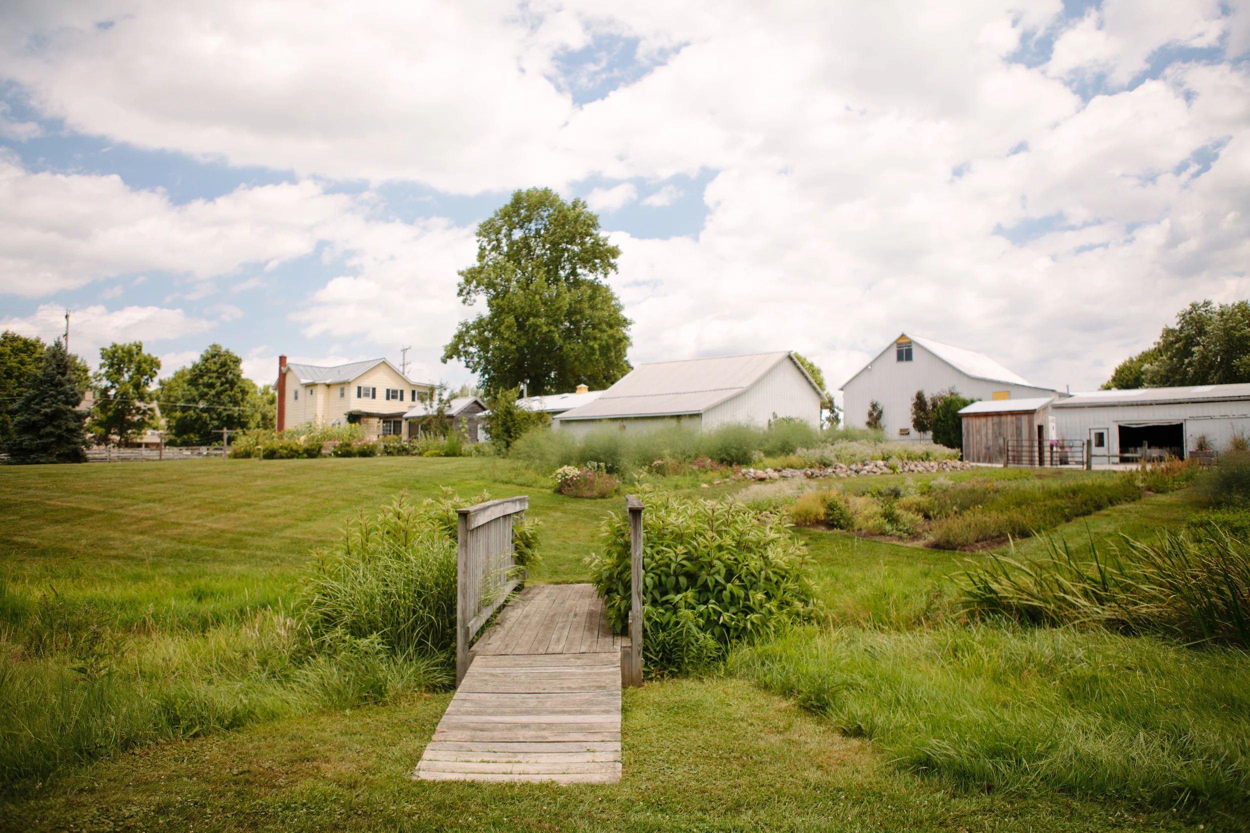 Barnes-6.jpg