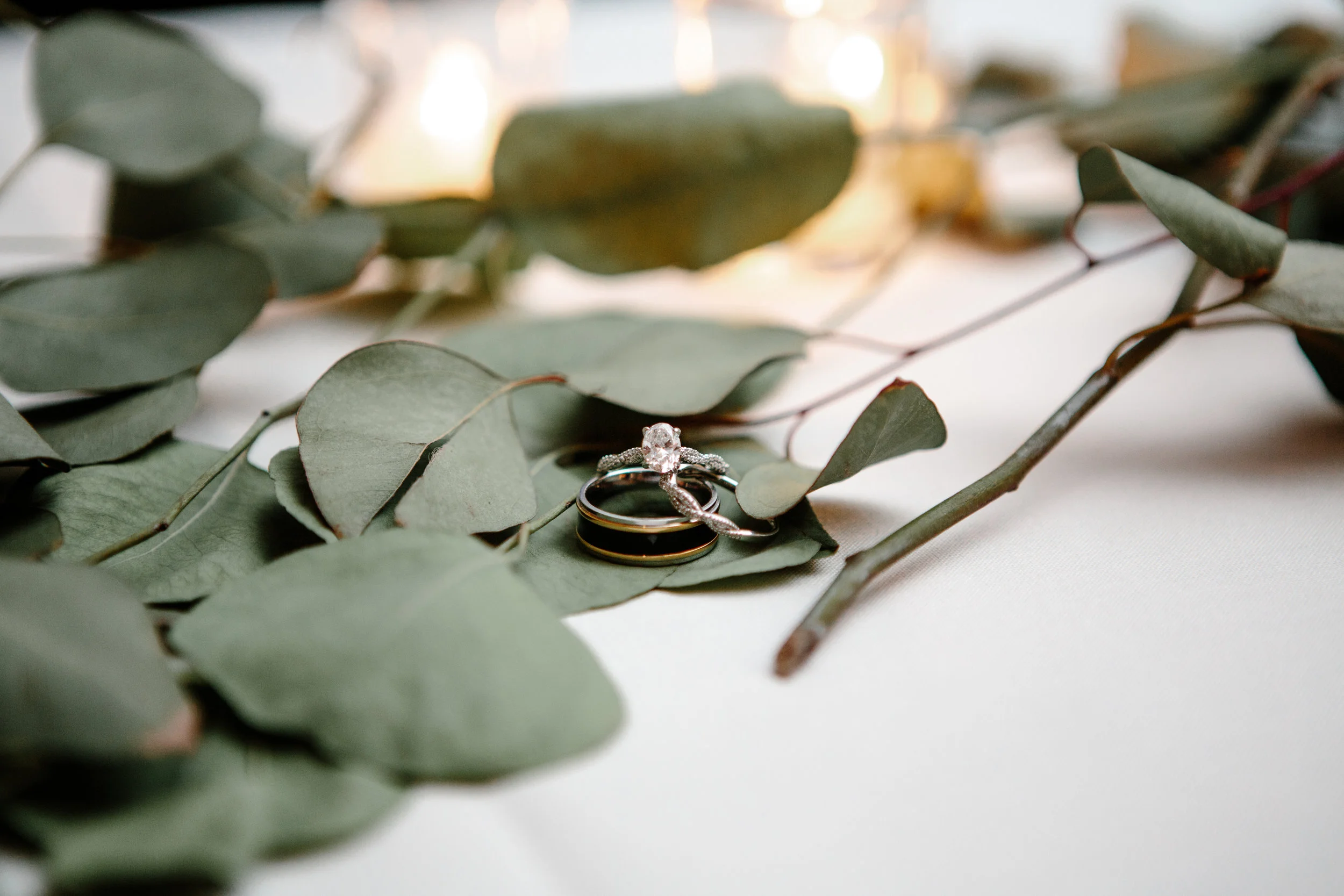 Eiting_May2019-29.jpg