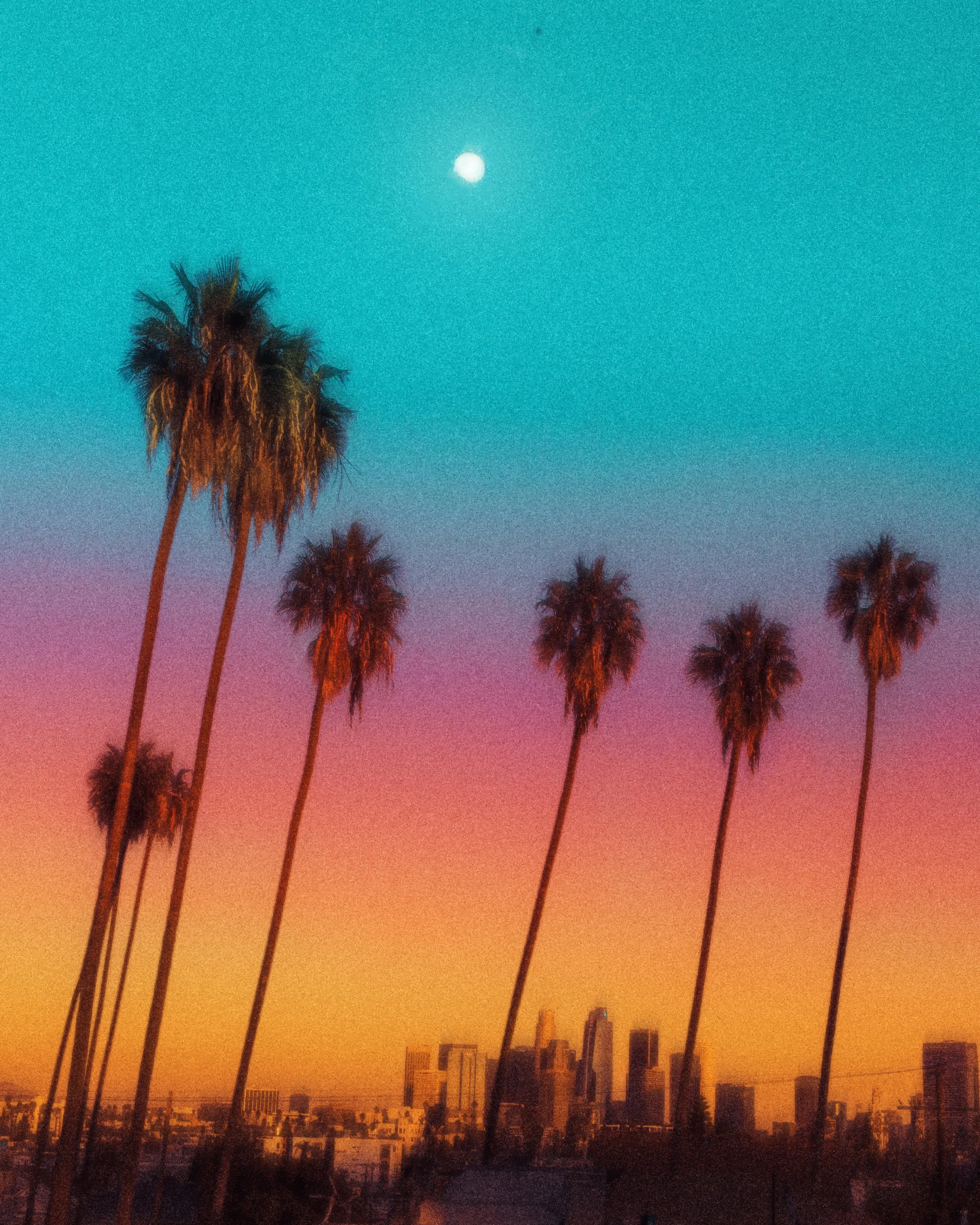 NOT LA.jpg